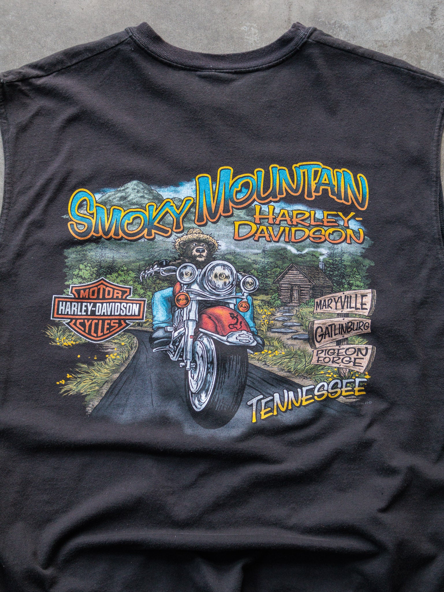 Vintage 2009 Harley-Davidson Smoky Mountain Tennessee Tank (XL)
