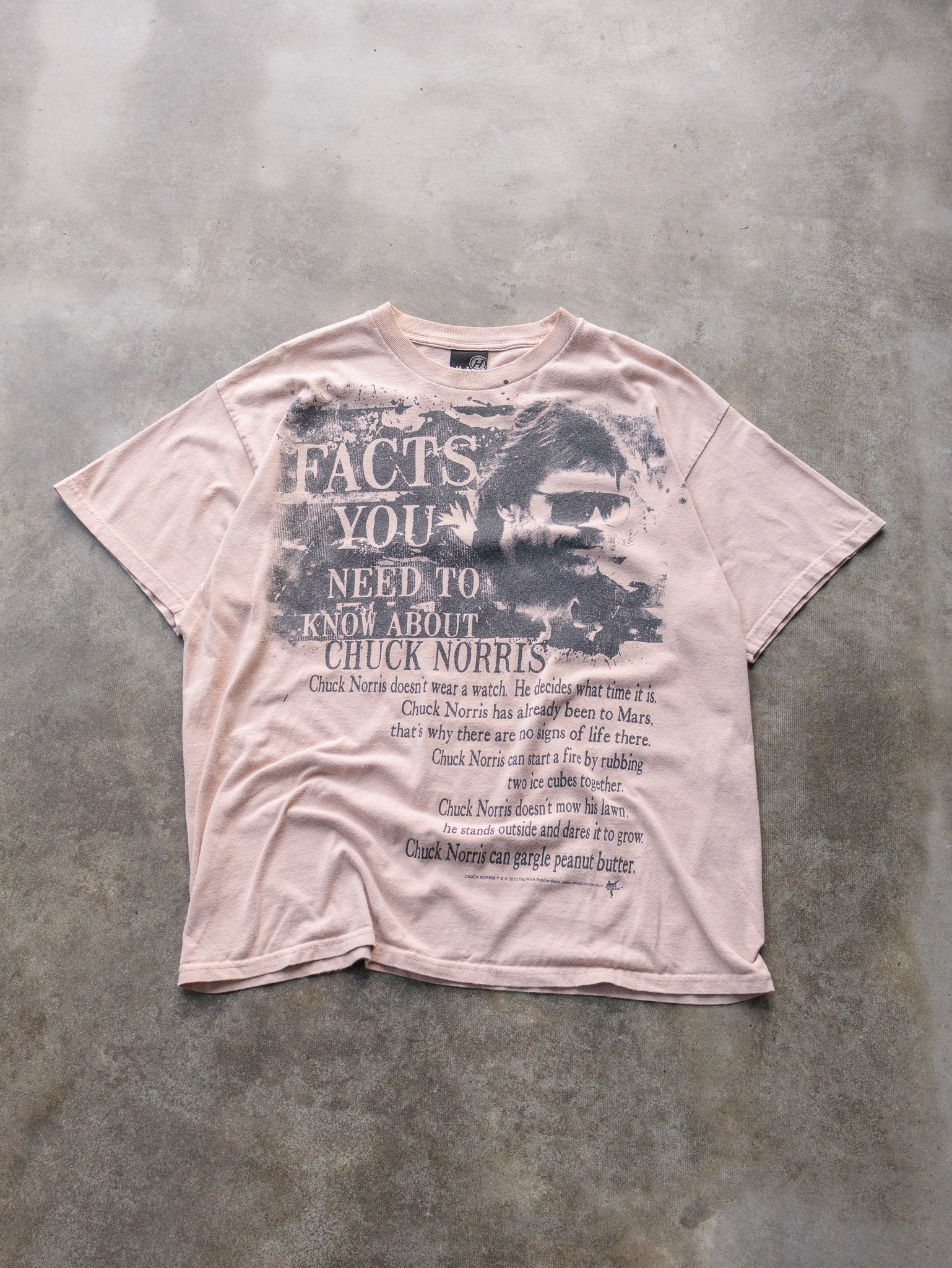 Vintage 2010 "Facts You Need To Know About Chuck Norris" Tee (XL)