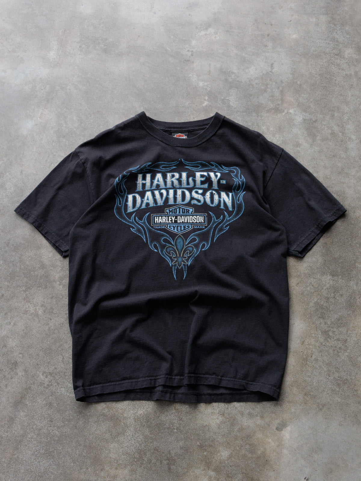 Vintage 2010 Black Harley-Davidson Pocatello Idaho Tee (L)