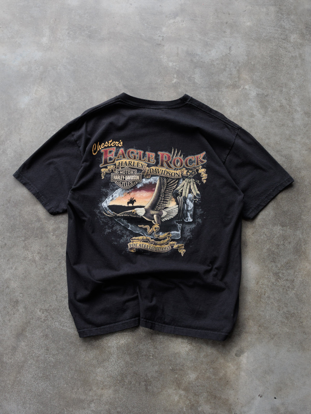 Vintage 2010 Black Harley-Davidson Pocatello Idaho Tee (L)