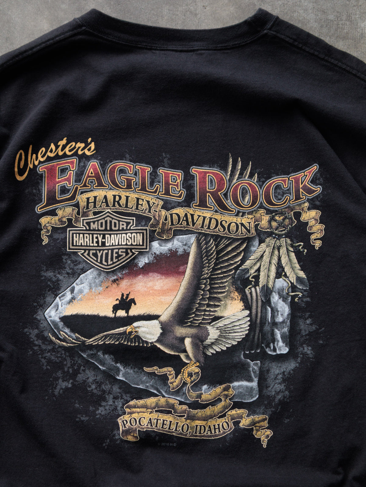 Vintage 2010 Black Harley-Davidson Pocatello Idaho Tee (L)