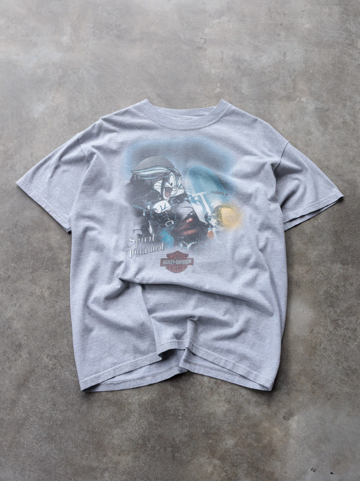 Vintage 00s Grey Harley-Davidson Roswell Georgia Tee (-)