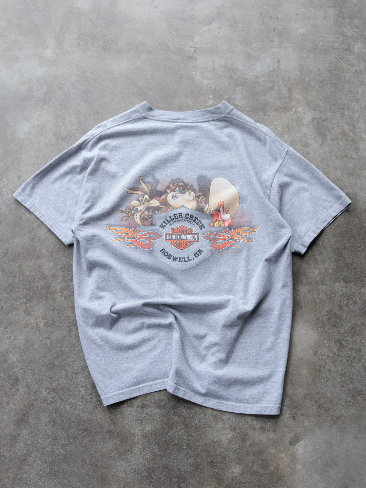 Vintage 00s Grey Harley-Davidson Roswell Georgia Tee (-)