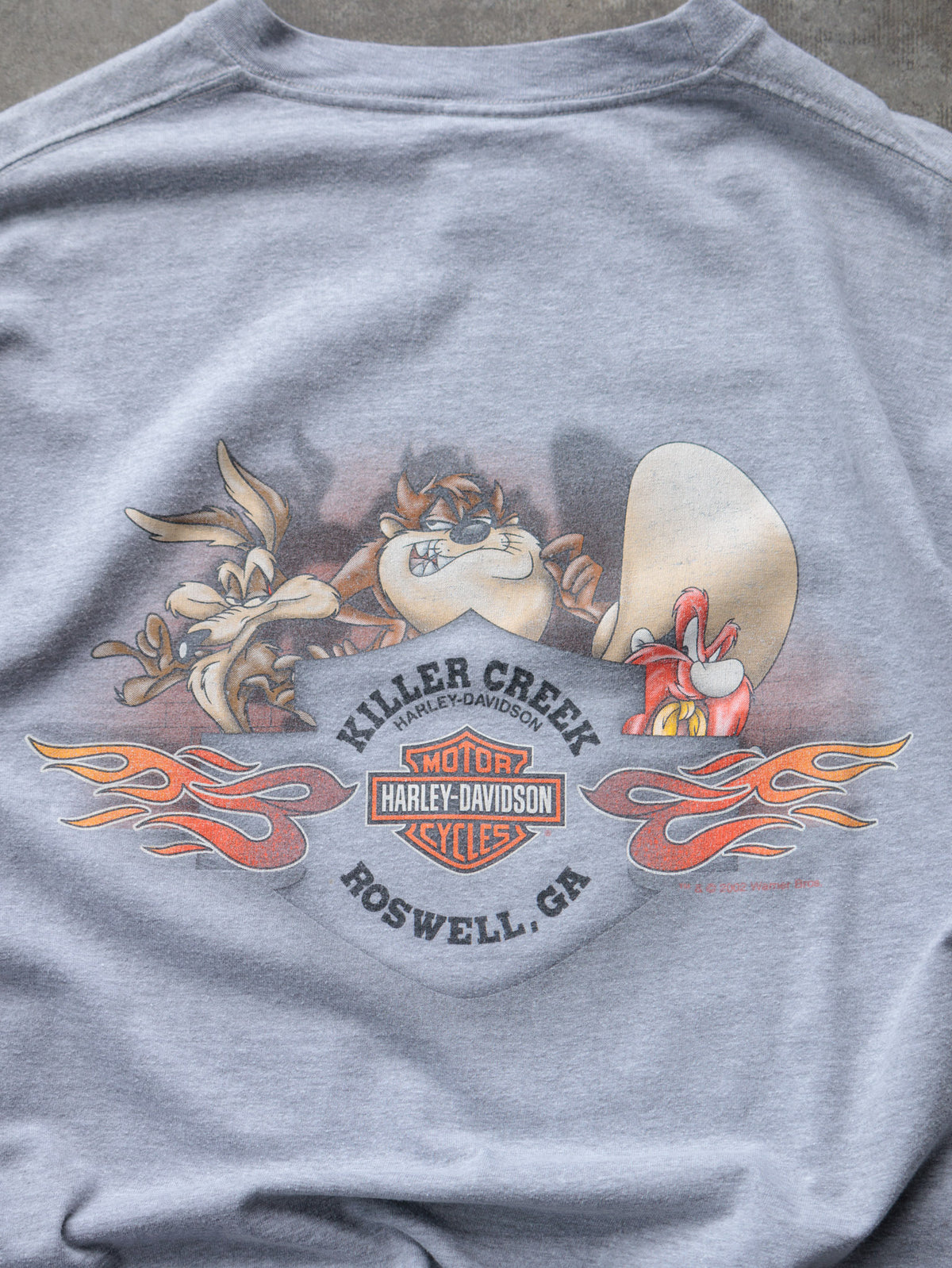 Vintage 00s Grey Harley-Davidson Roswell Georgia Tee (-)
