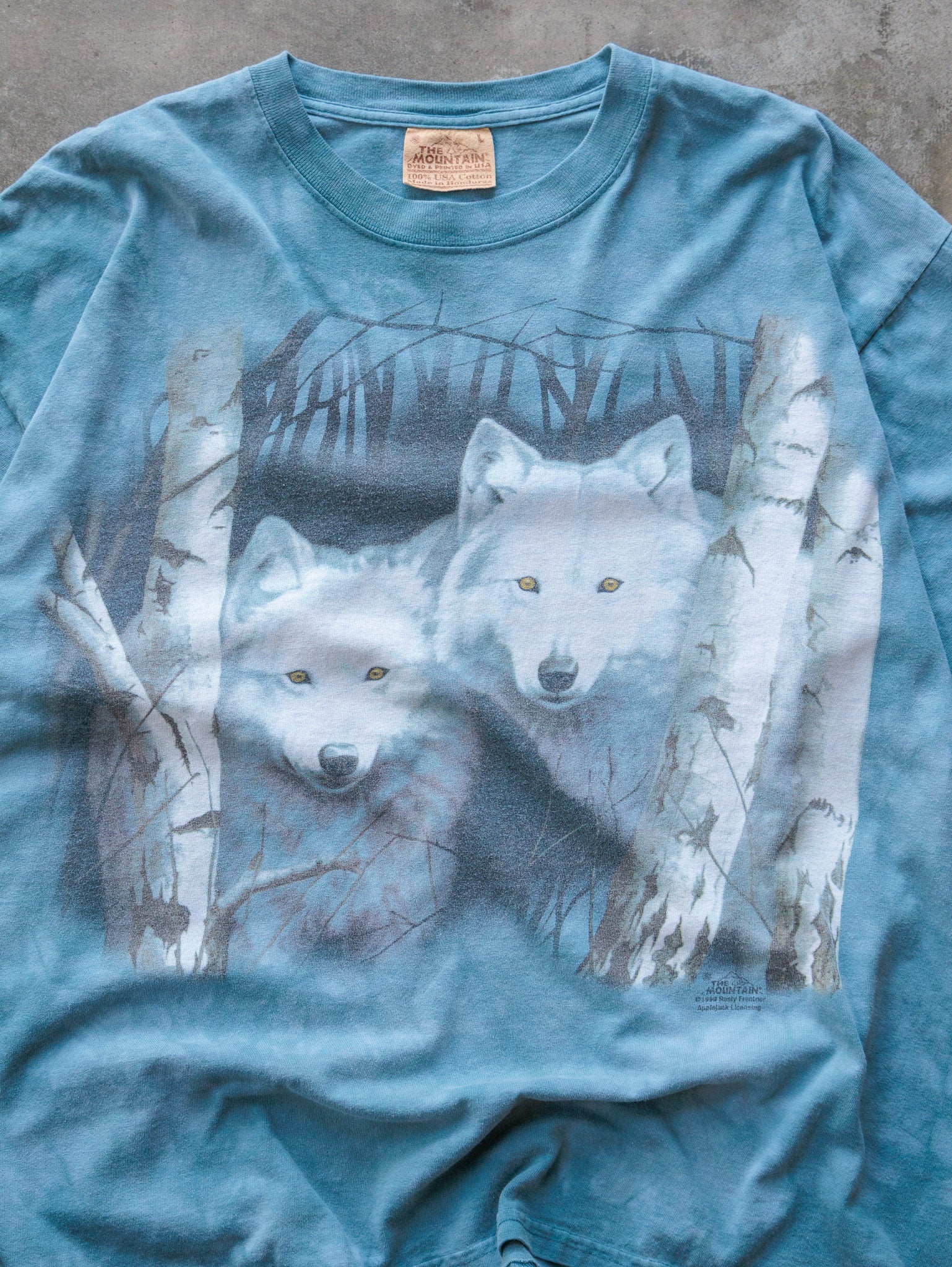 Vintage 1999 Blue Wolf Graphic Tee (L)