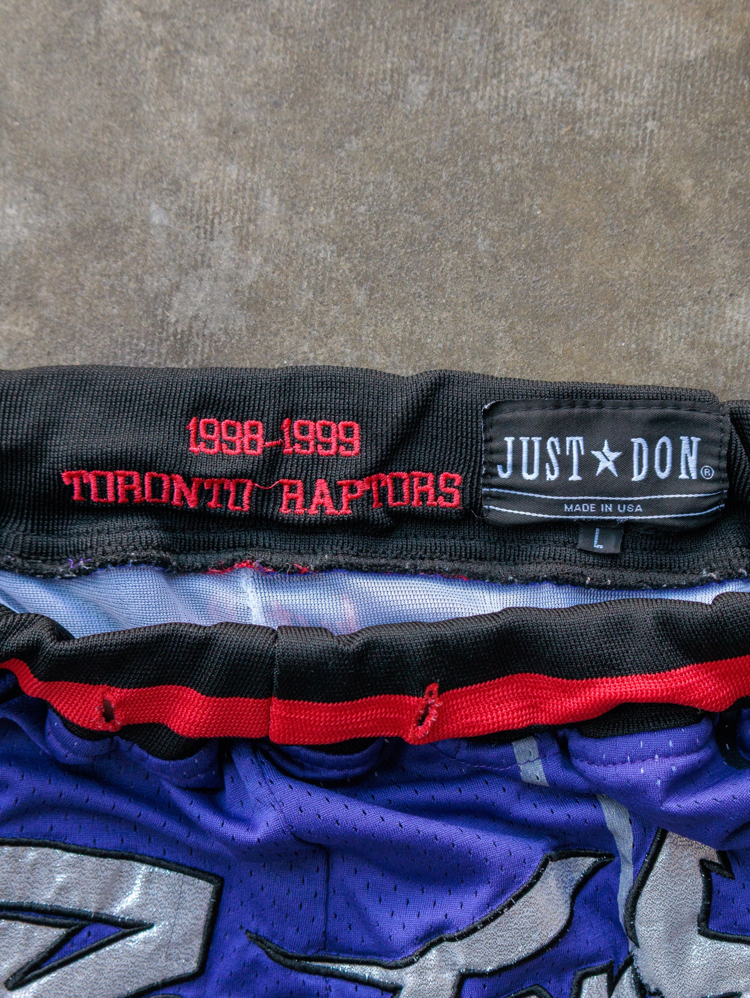 Purple Just Don Toronto Raptors Basketball Shorts (L)