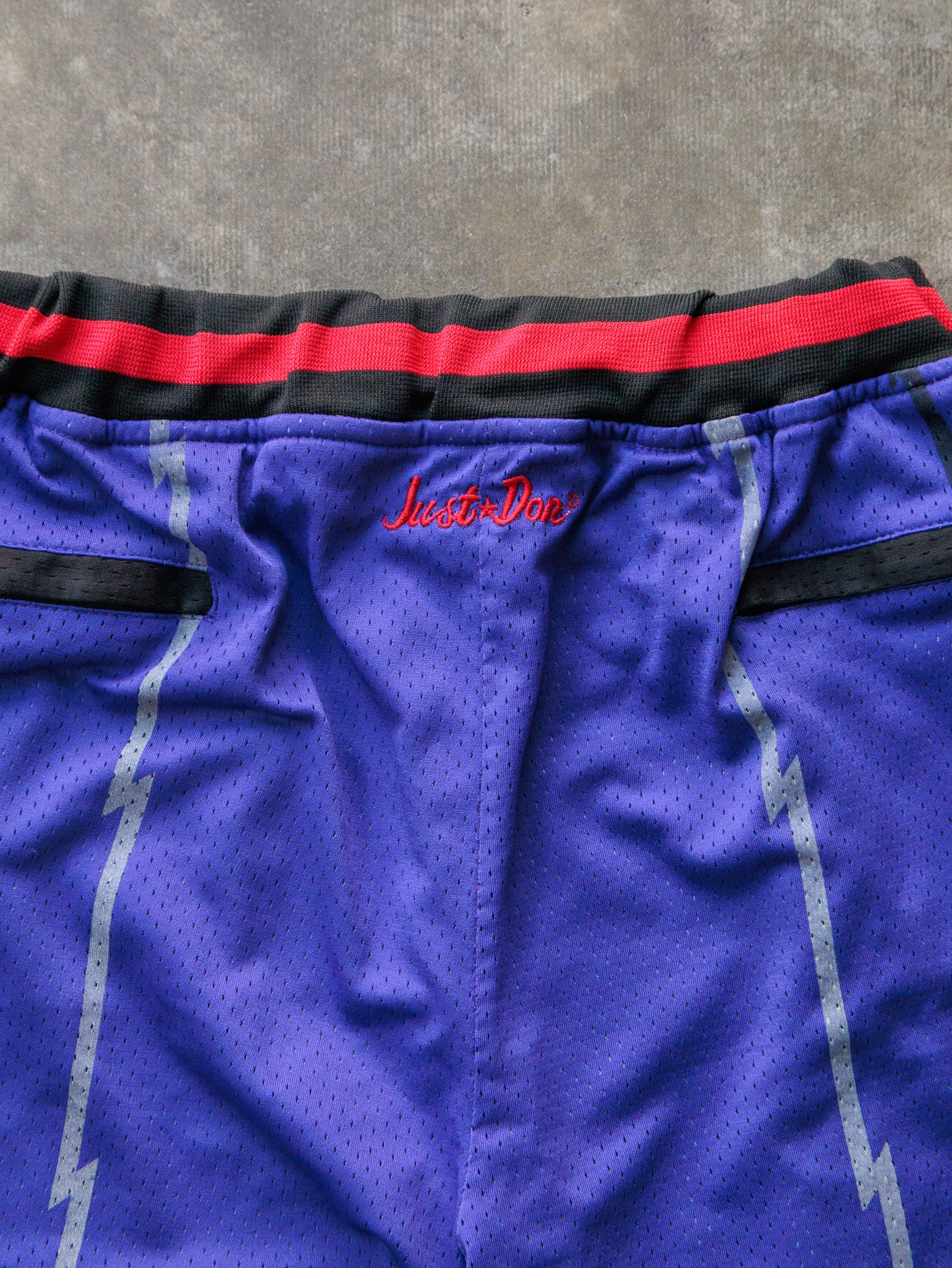 Purple Just Don Toronto Raptors Basketball Shorts (L)