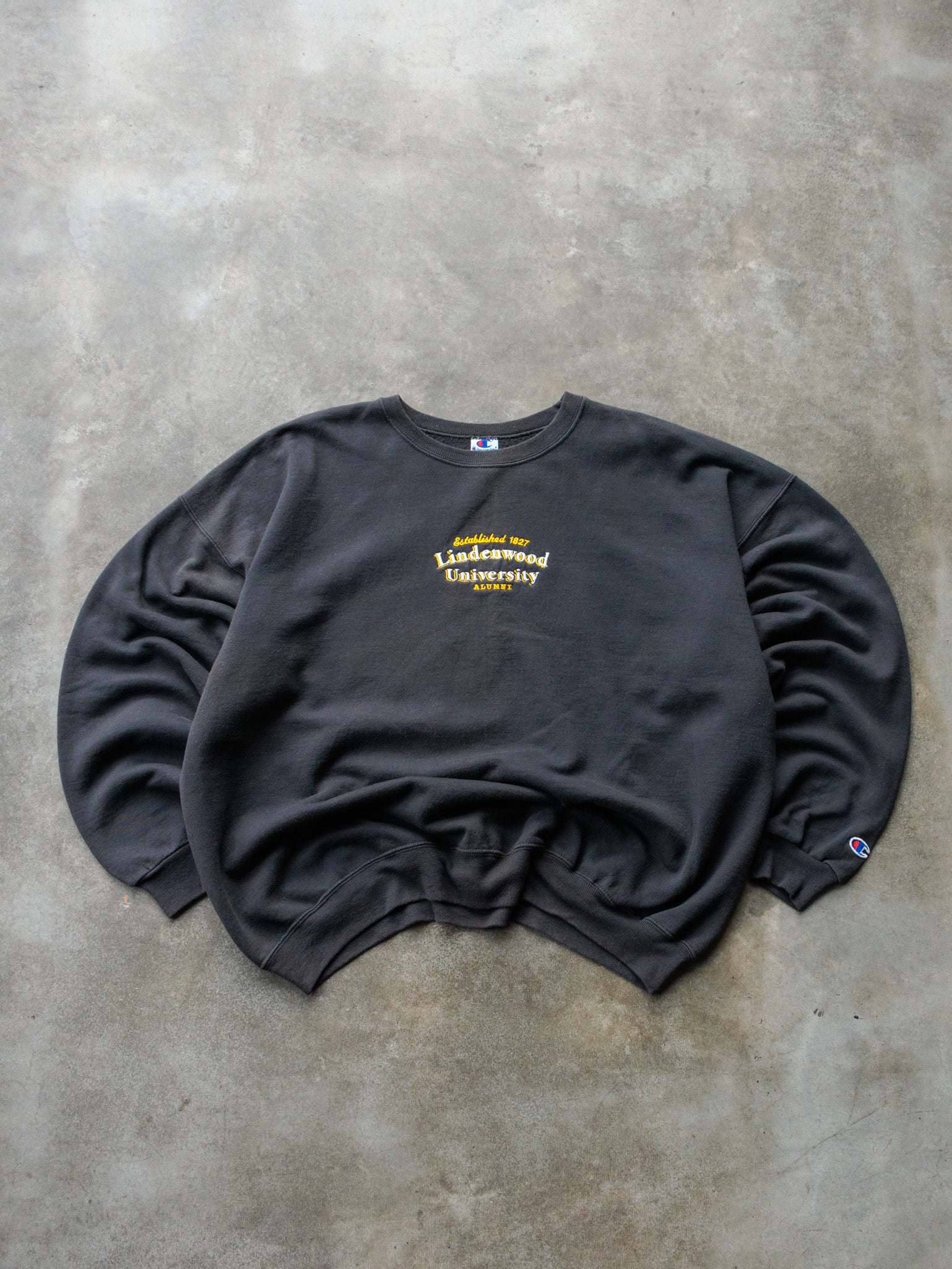 Vintage 90s Champion Lindenwood University Sweatshirt (2XL)
