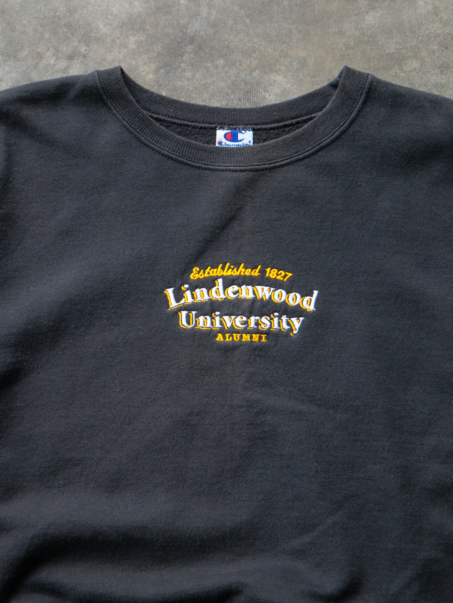 Vintage 90s Champion Lindenwood University Sweatshirt (2XL)