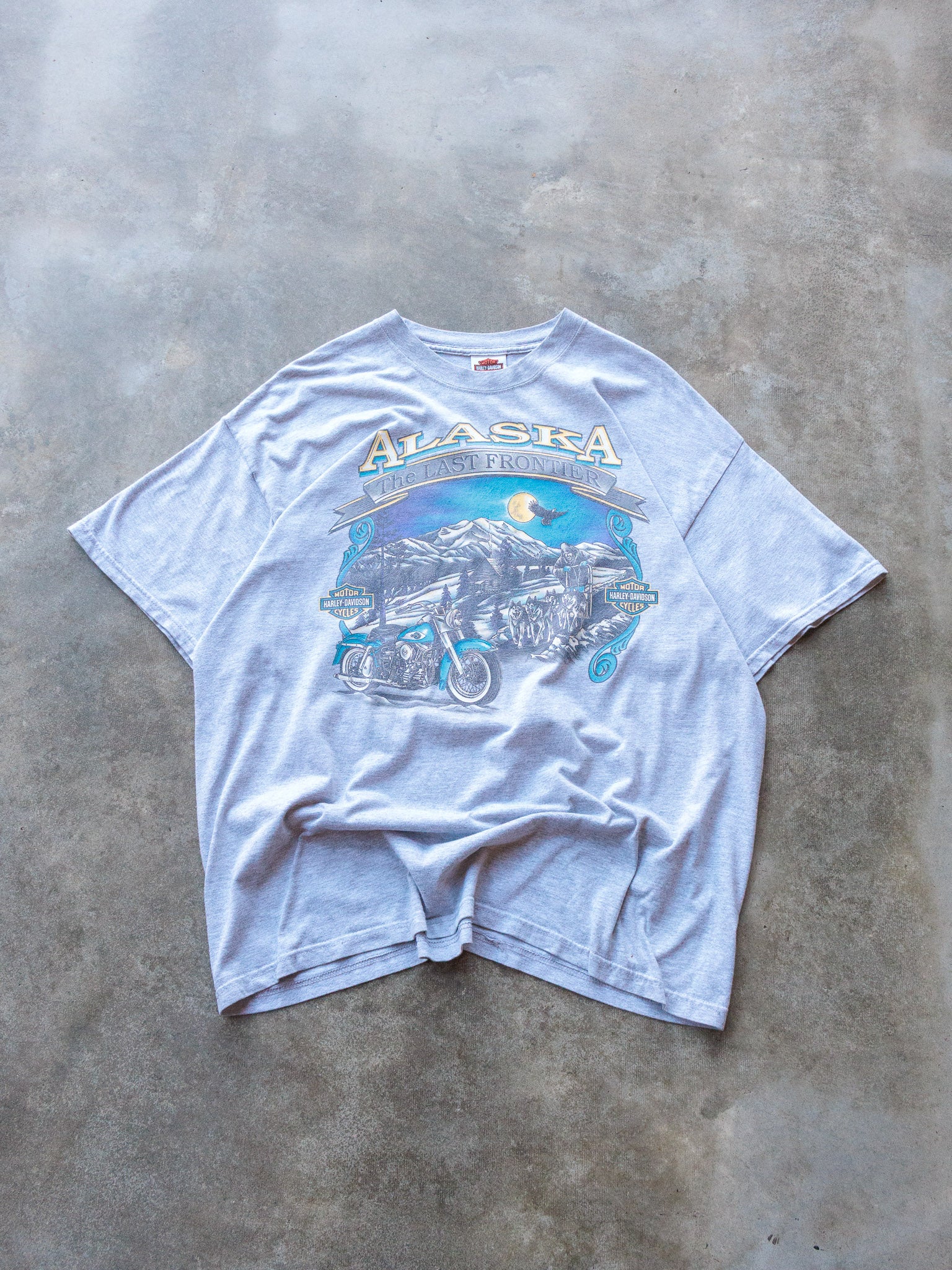 Vintage 2002 Grey Harley-Davidson Alaska Tee (XL)