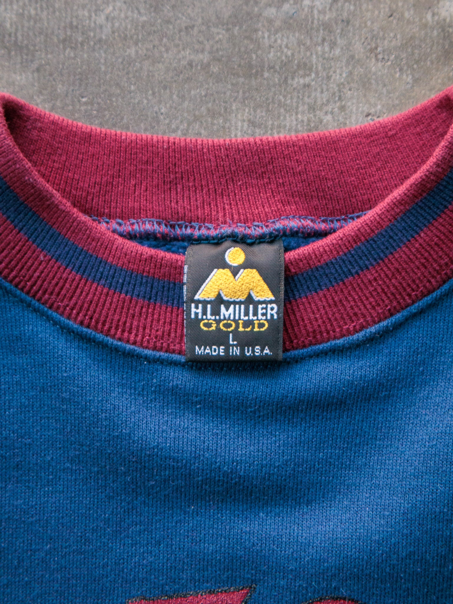 Vintage 90s Blue Arizona Graphic Sweatshirt (L)
