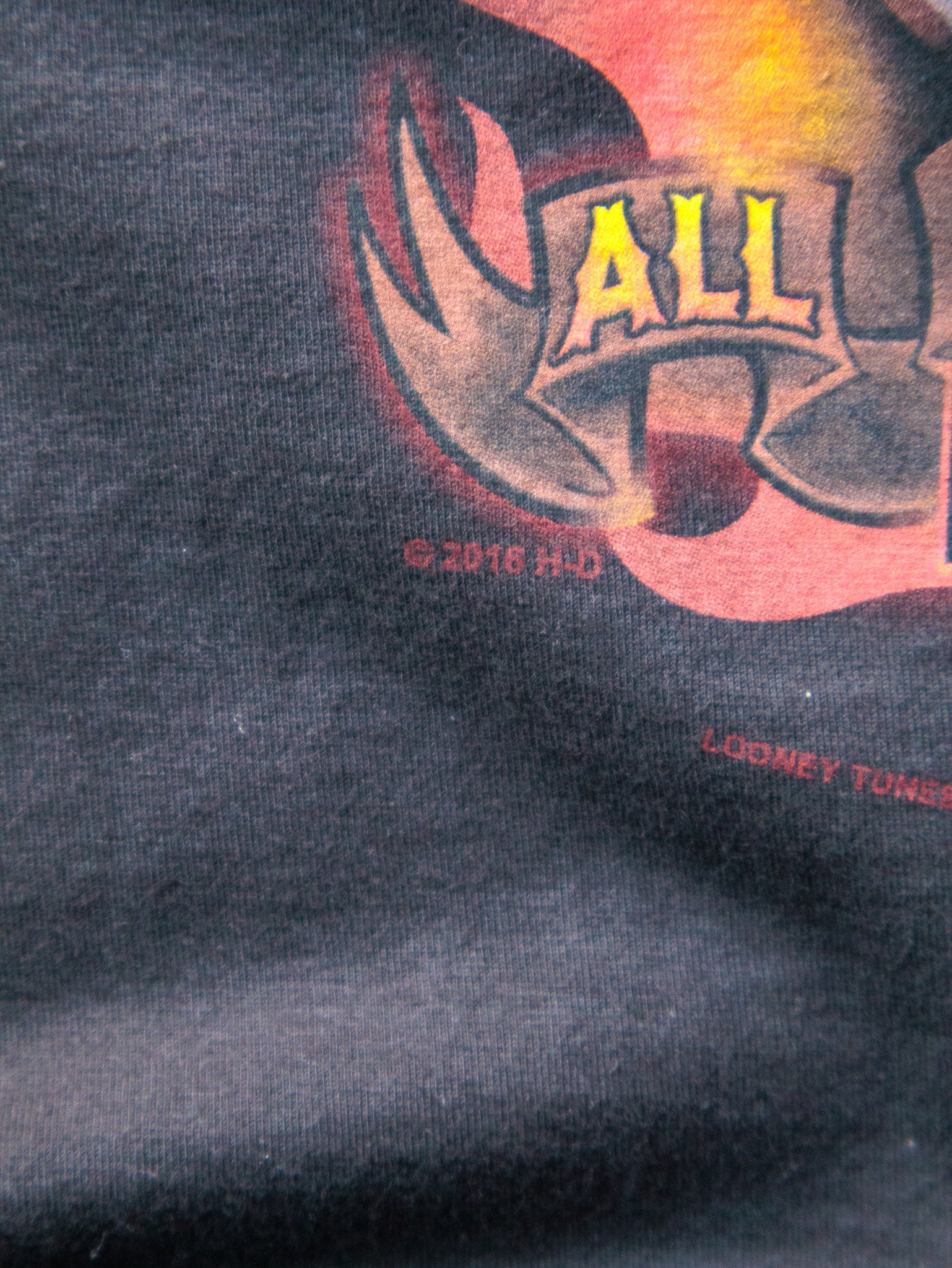Vintage Black Harley-Davidson Looney Tunes Taz Tee (L)