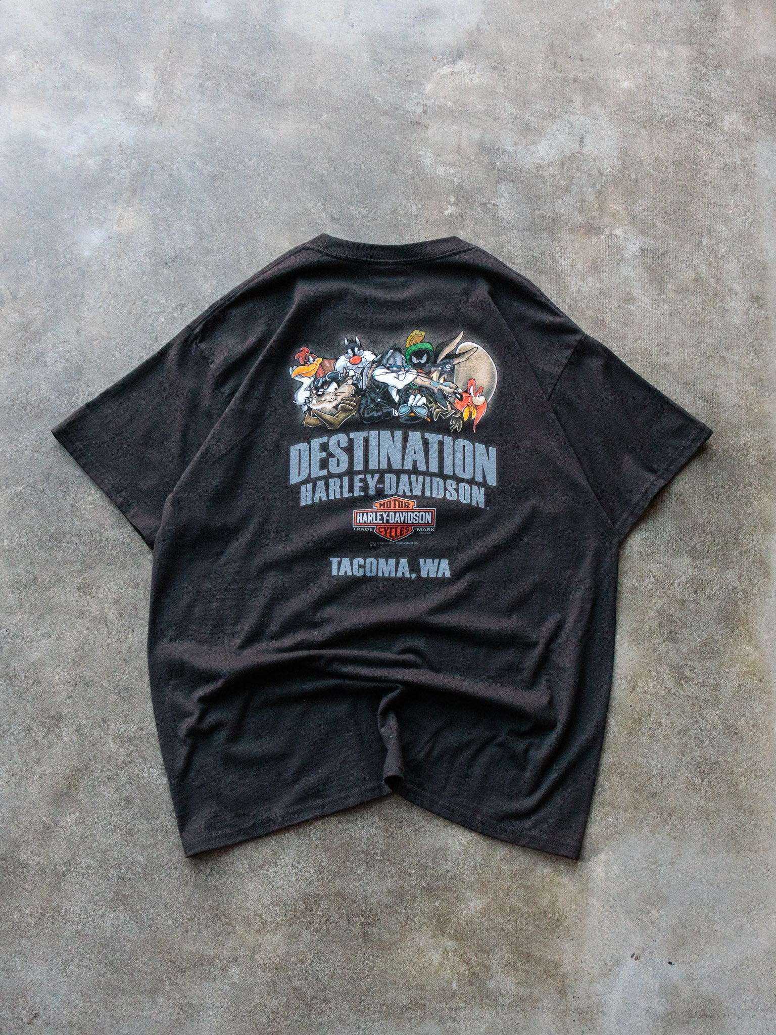 Vintage Black Harley-Davidson Looney Tunes Taz Tee (L)