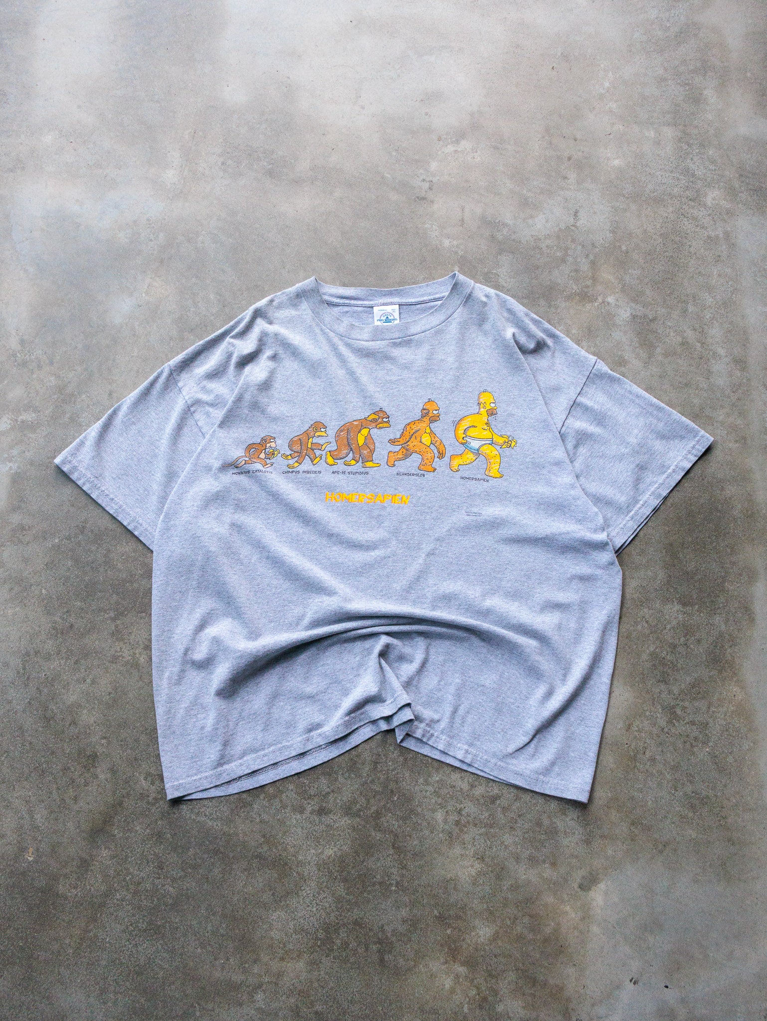 Vintage 2000 The Simpsons Homersapien Tee (XL)