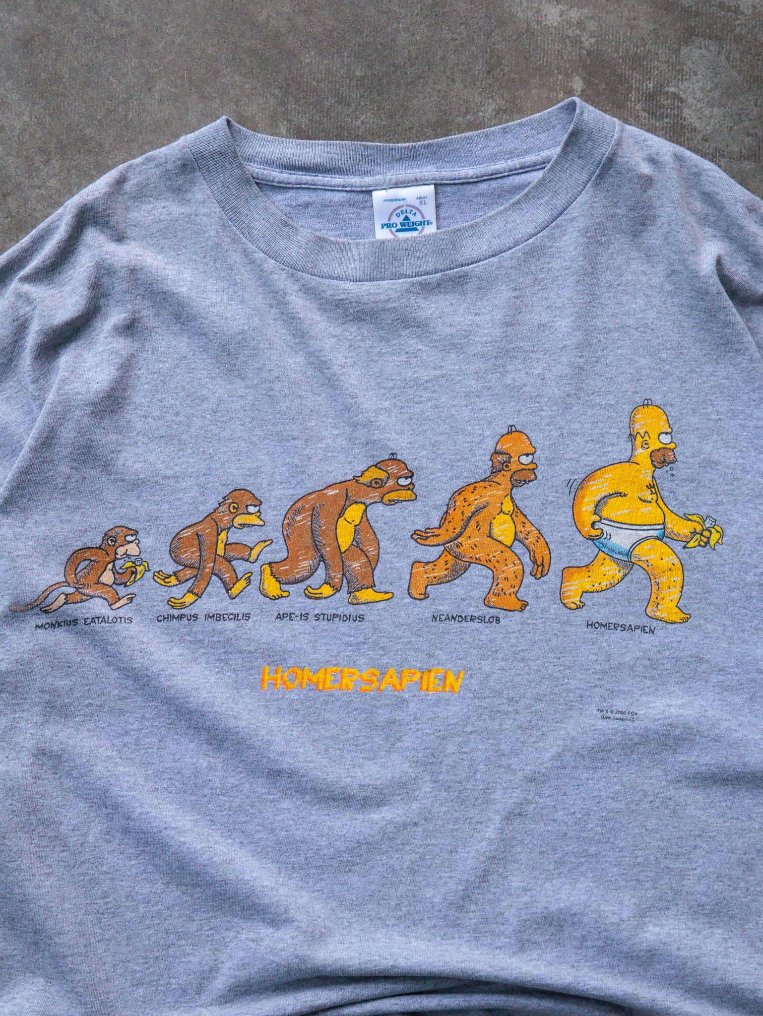 Vintage 2000 The Simpsons Homersapien Tee (XL)