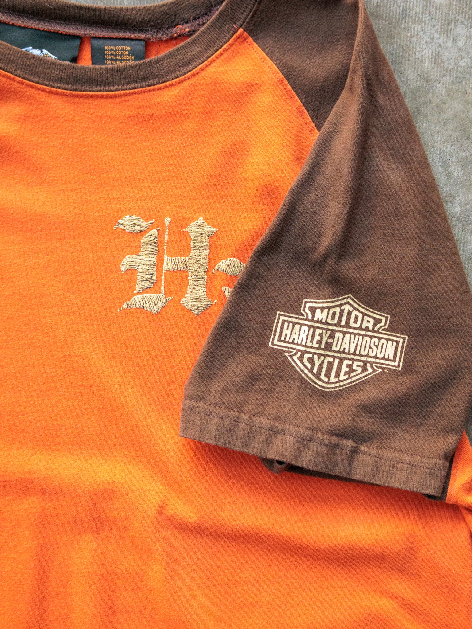 Vintage 00s Harley-Davidson Raglan Tee (XL)