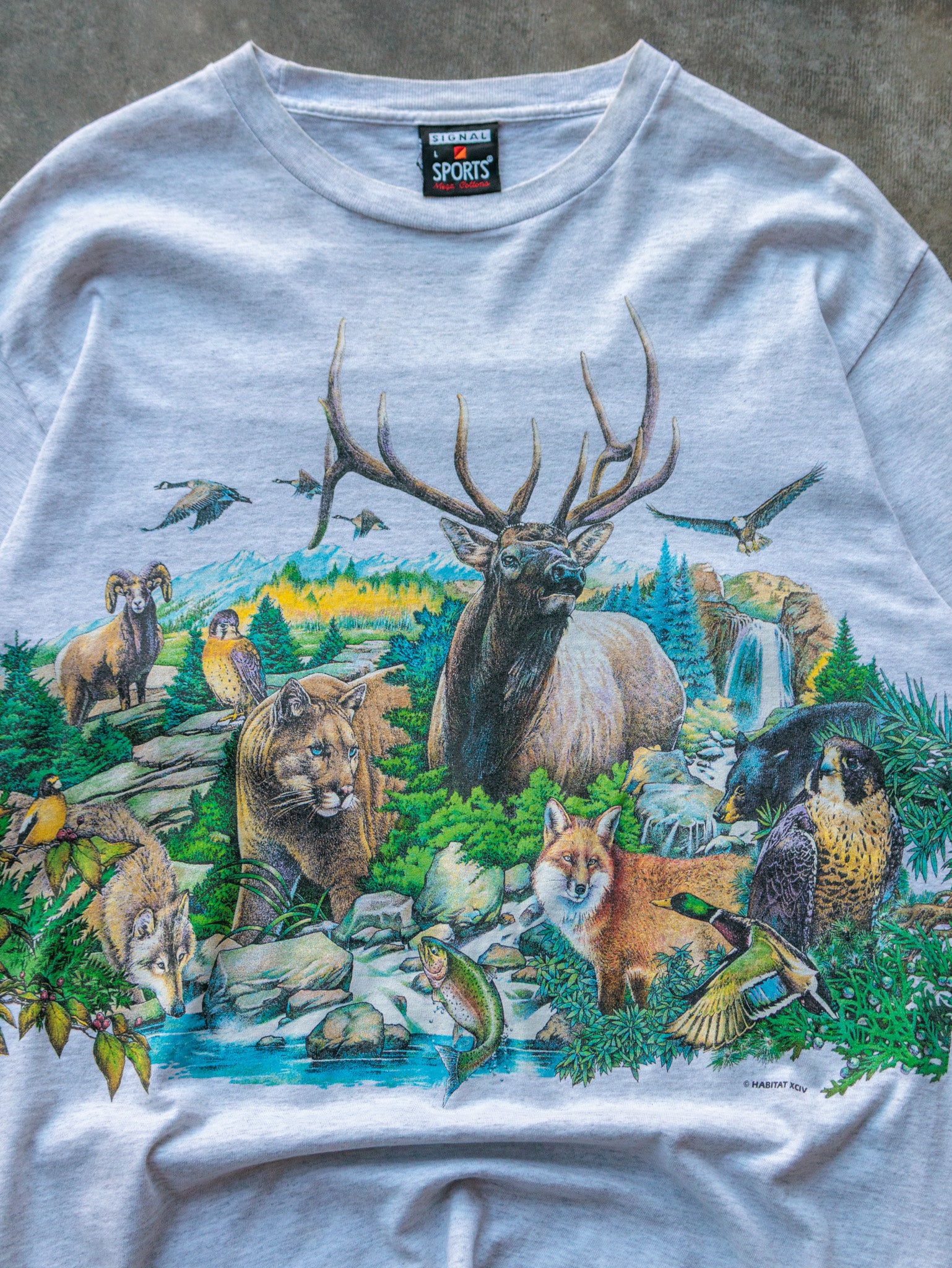 Vintage 90s Nature Wildlife Graphic Tee (L)