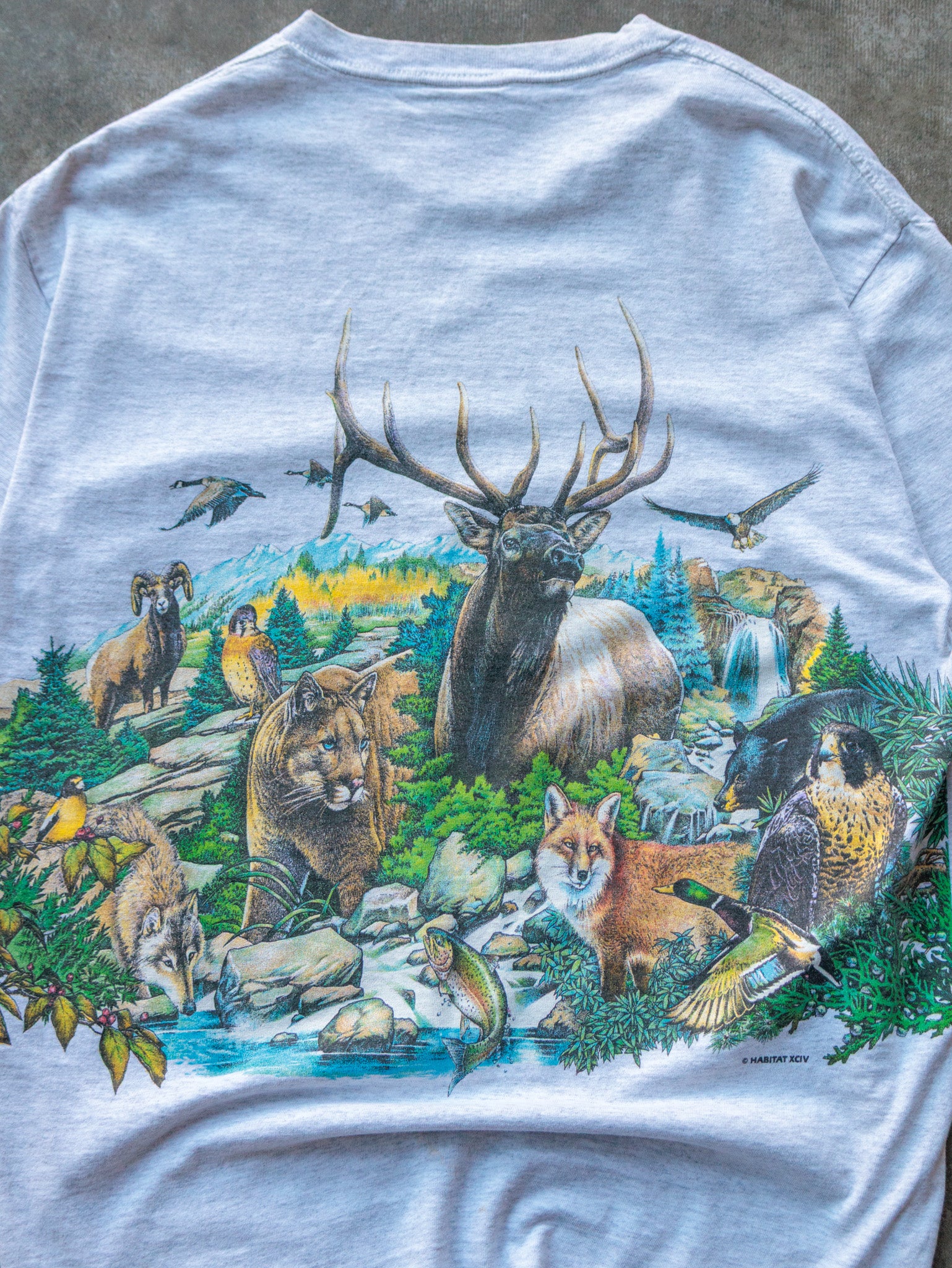 Vintage 90s Nature Wildlife Graphic Tee (L)