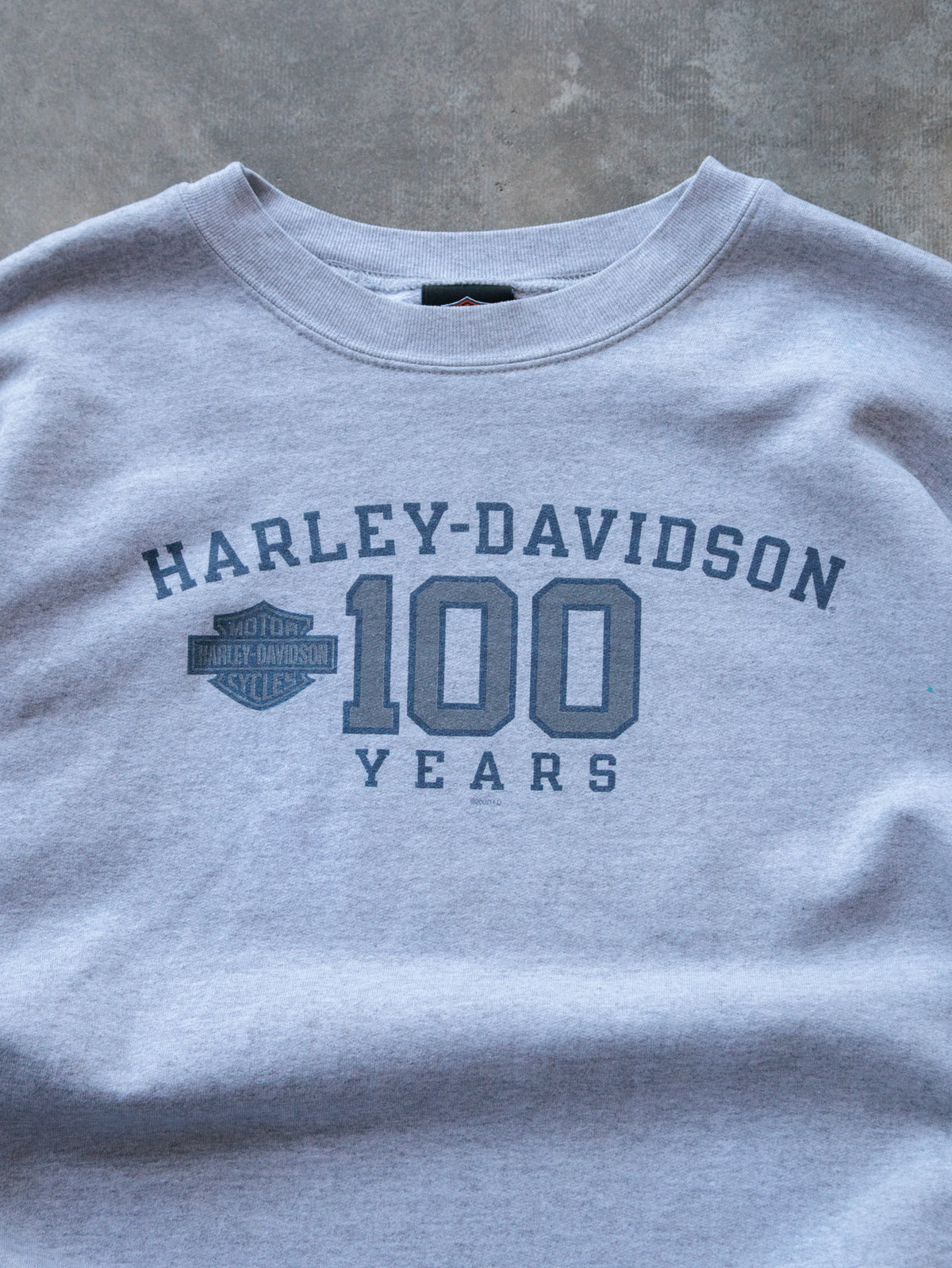 Vintage 2002 Grey Harley-Davidson Ashland Kentucky 100 Years Sweatshirt (XL)