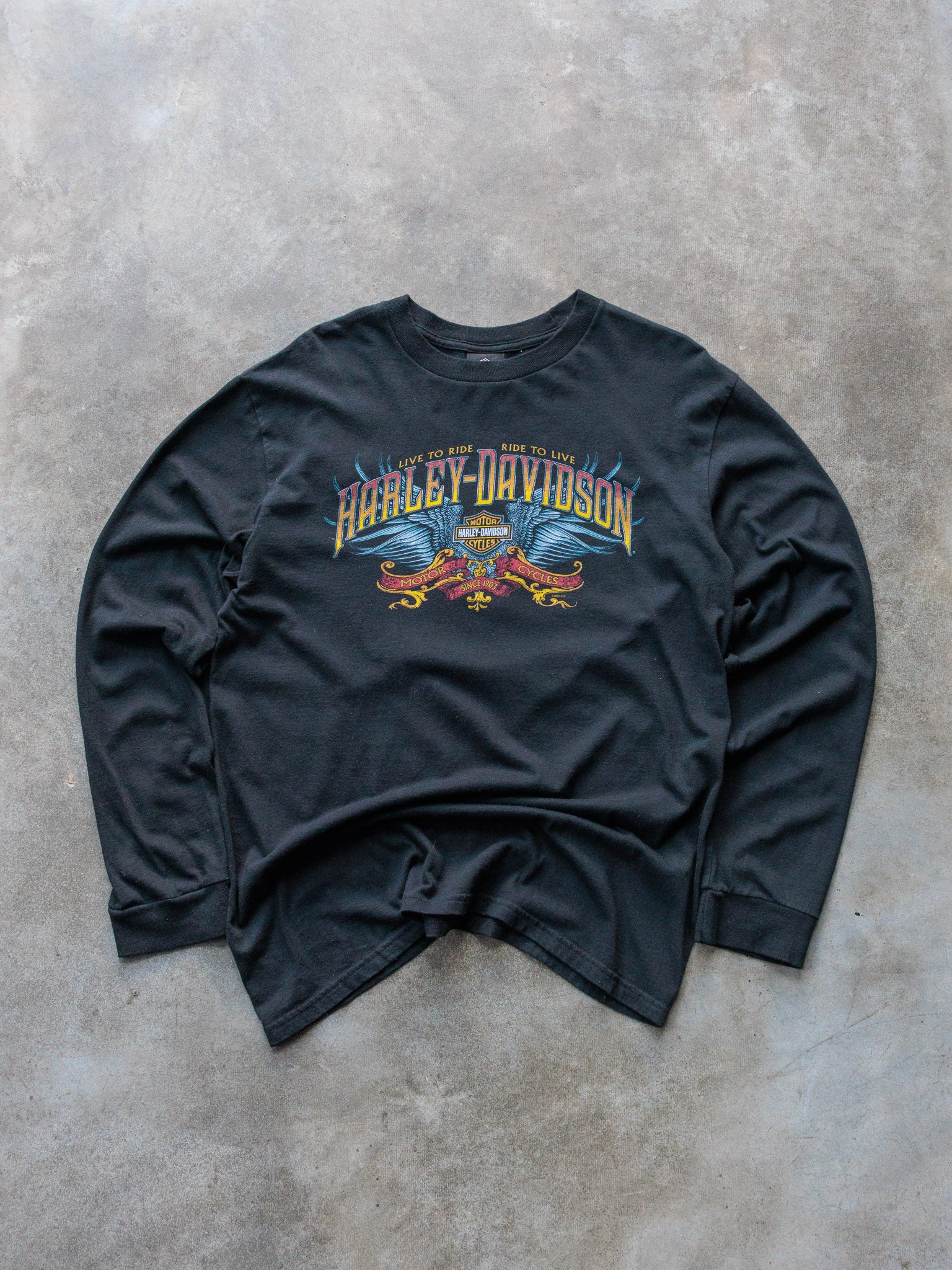 Vintage 2009 Harley-Davidson Lynnwood Washington Long Sleeve (L)