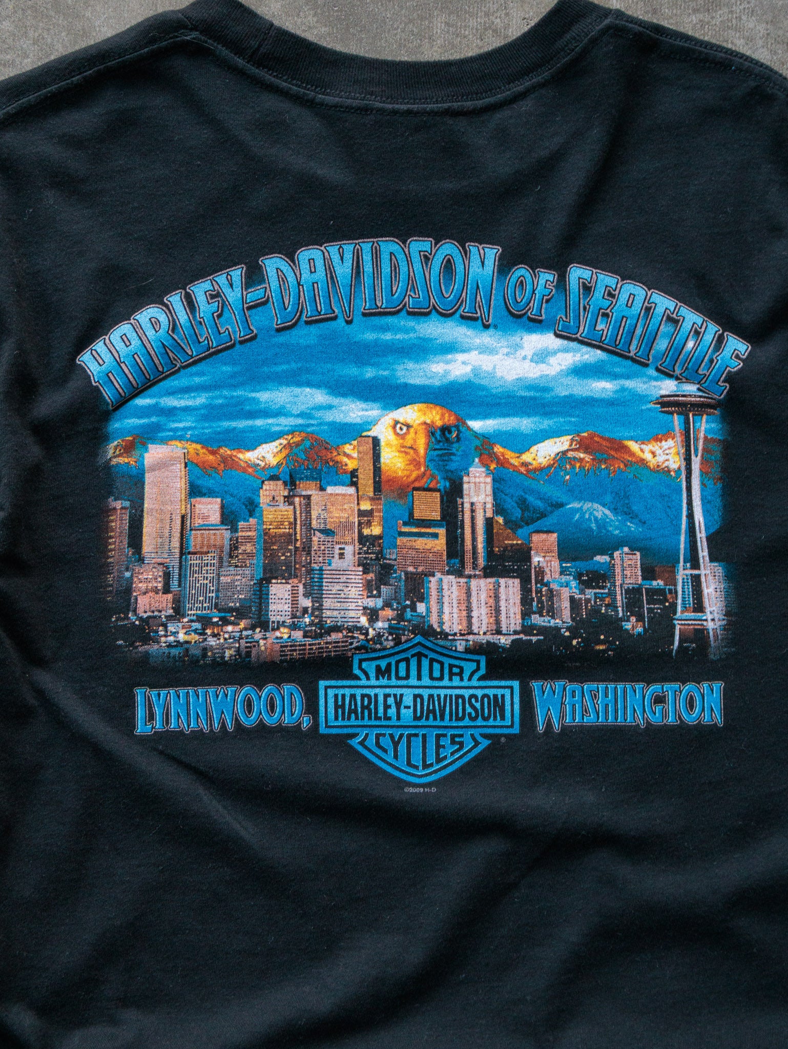 Vintage 2009 Harley-Davidson Lynnwood Washington Long Sleeve (L)