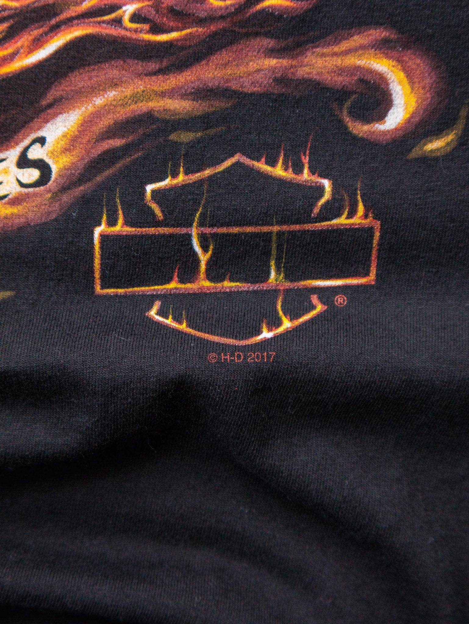 2017 Harley-Davidson Flaming Skeleton Starved Rock Tee (M)