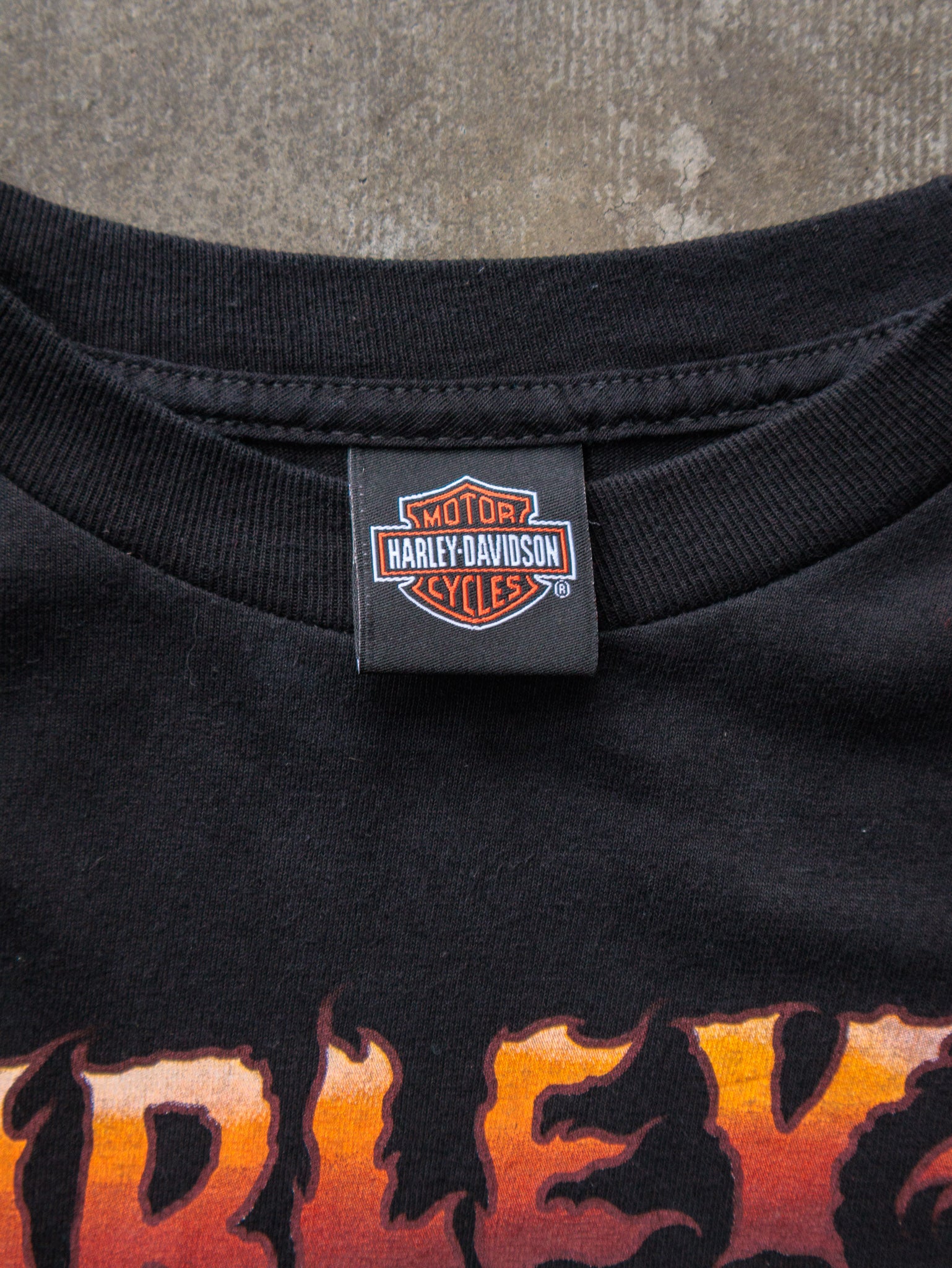 2017 Harley-Davidson Flaming Skeleton Starved Rock Tee (M)