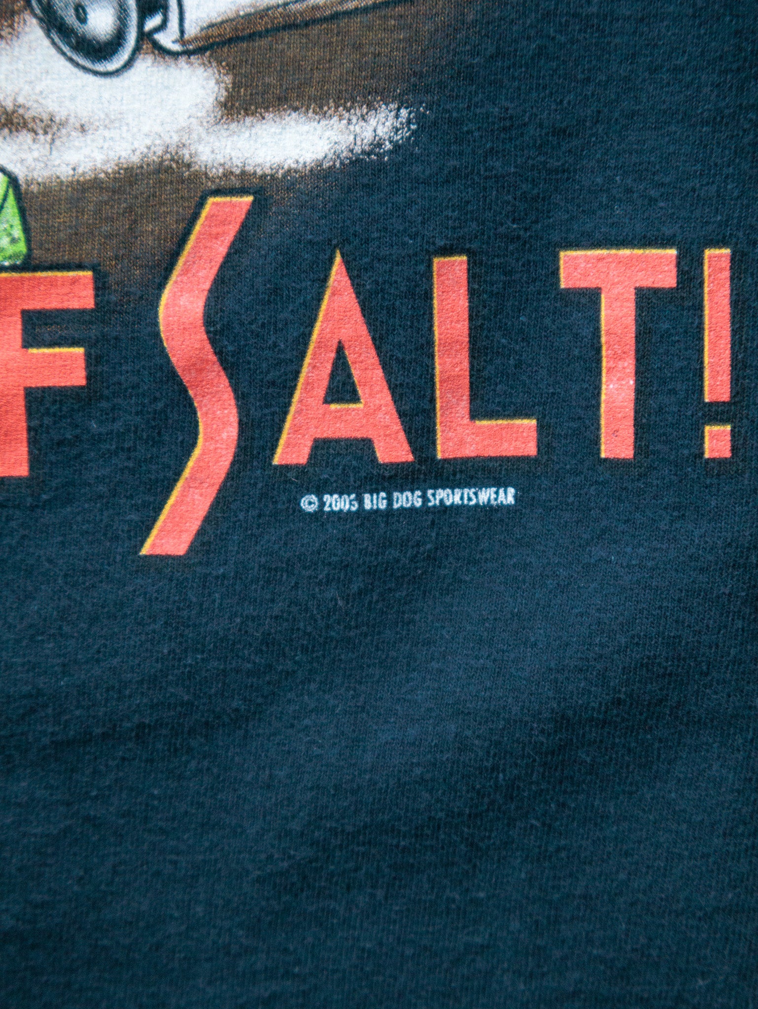 Vintage 2005 Navy Big Dog Sportswear Take Life With A Grain Of Salt Tee (-)