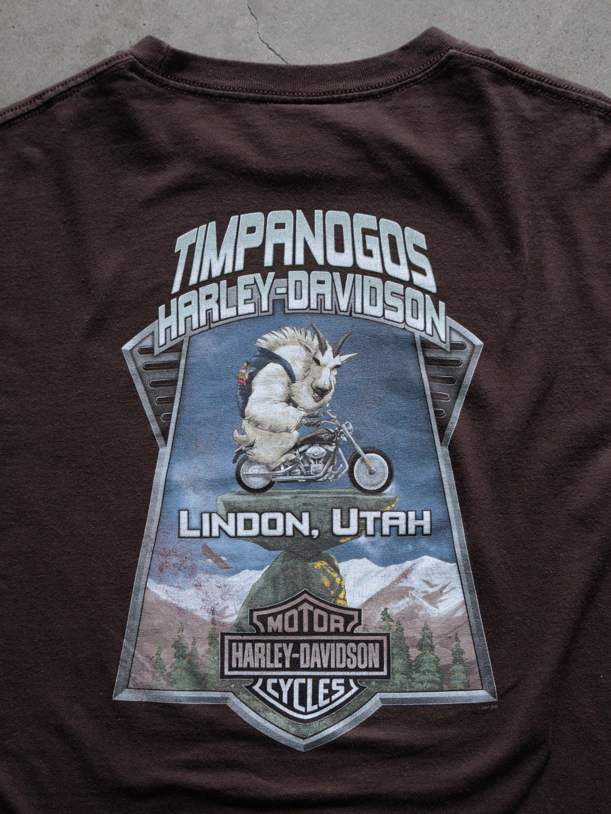 Vintage 00s Brown Harley-Davidson Lindon Utah Tee (M)