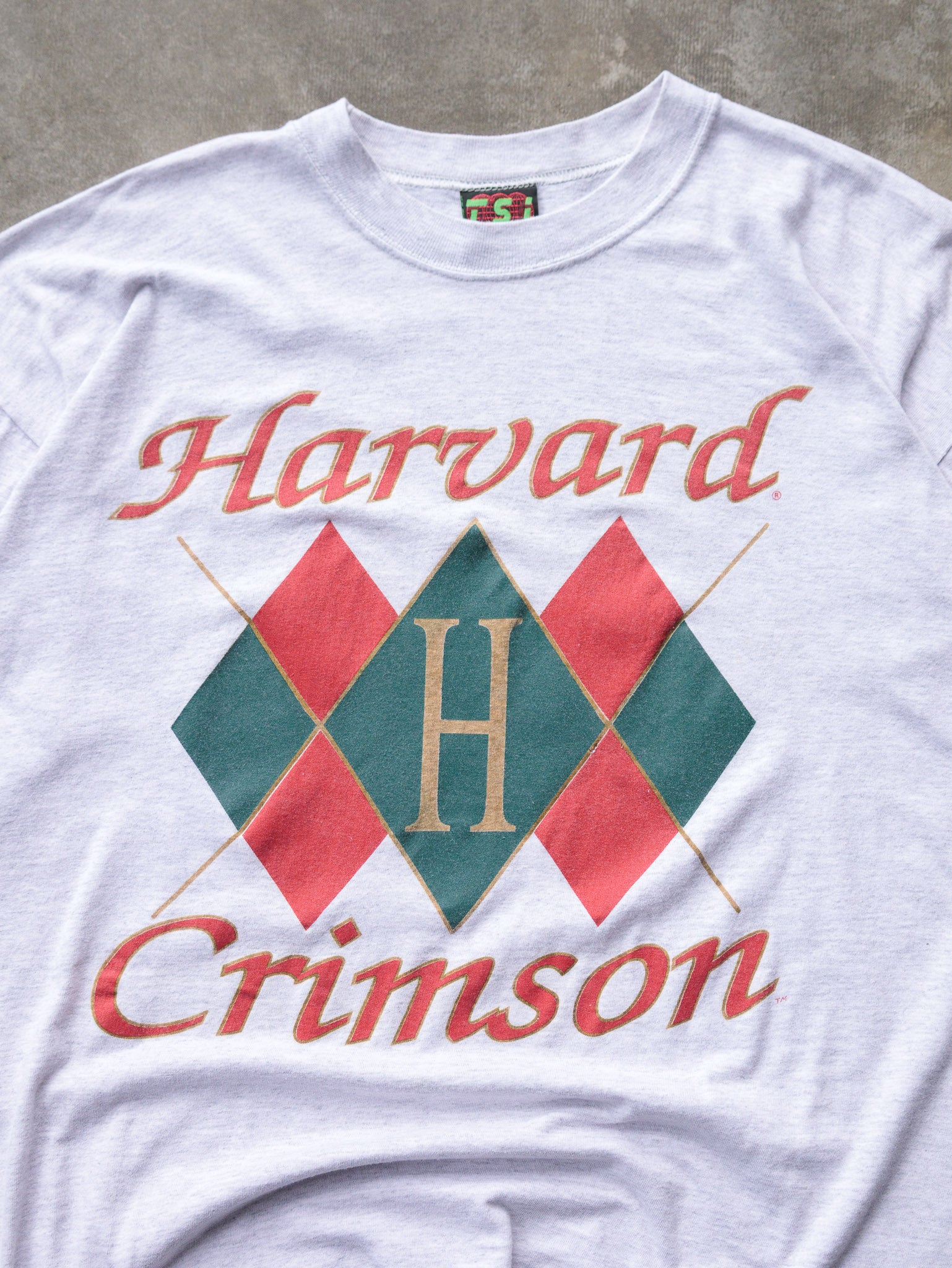 Vintage 90s Harvard Crimson Tee (XL)