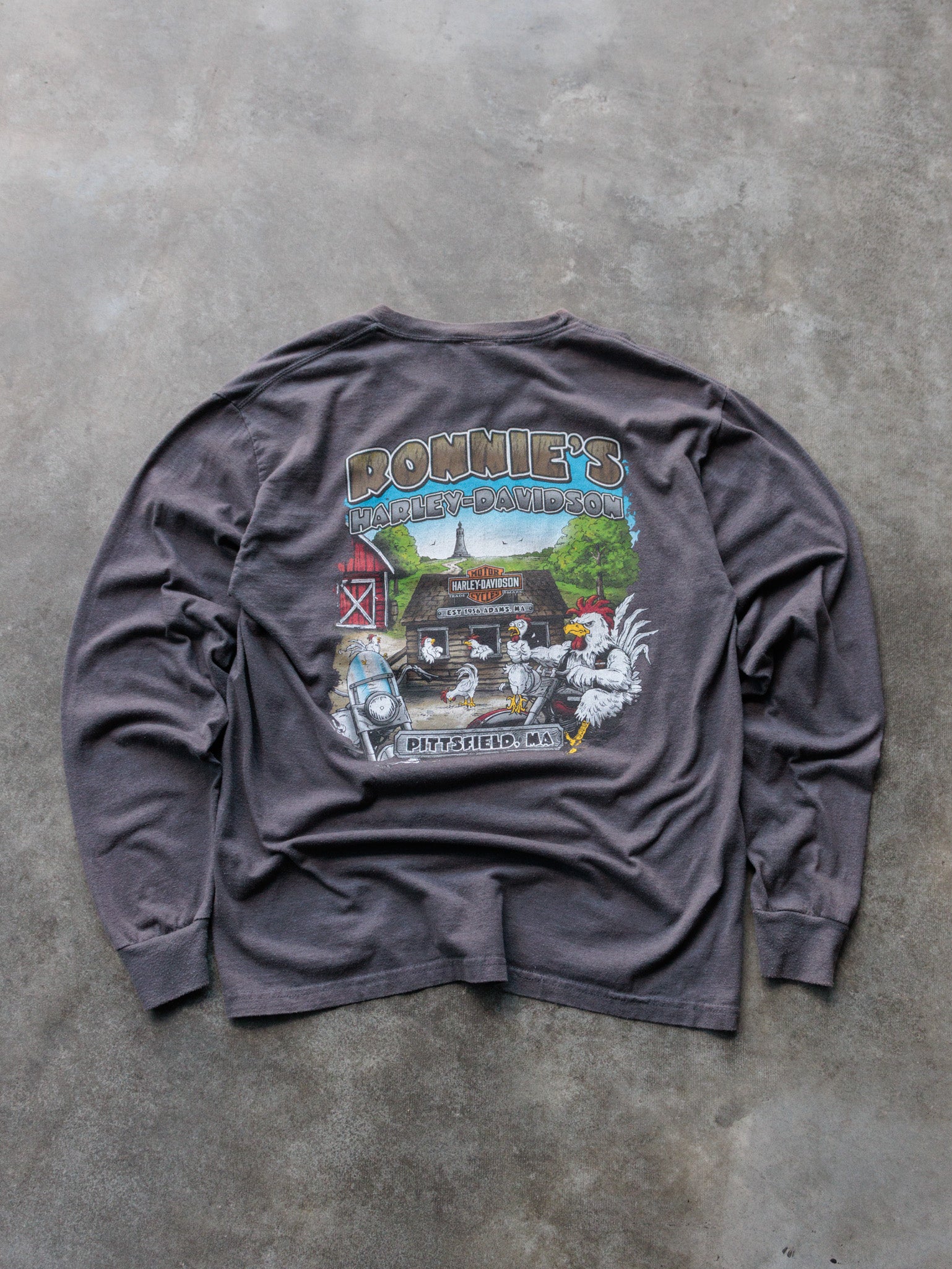 Vintage Grey Harley-Davidson Pittsfield Massachusetts Long Sleeve Tee (M)