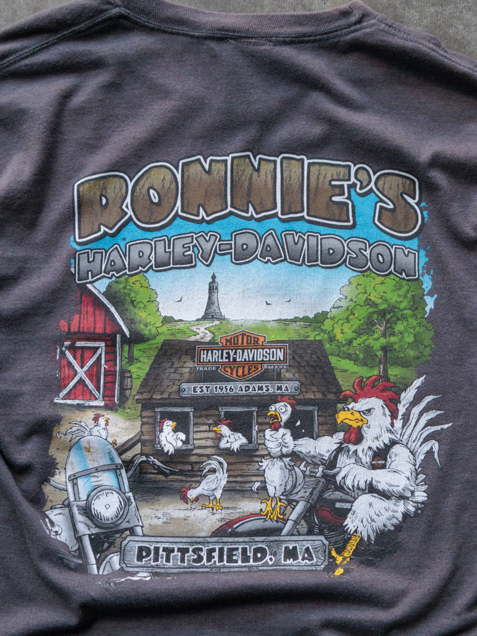 Vintage Grey Harley-Davidson Pittsfield Massachusetts Long Sleeve Tee (M)
