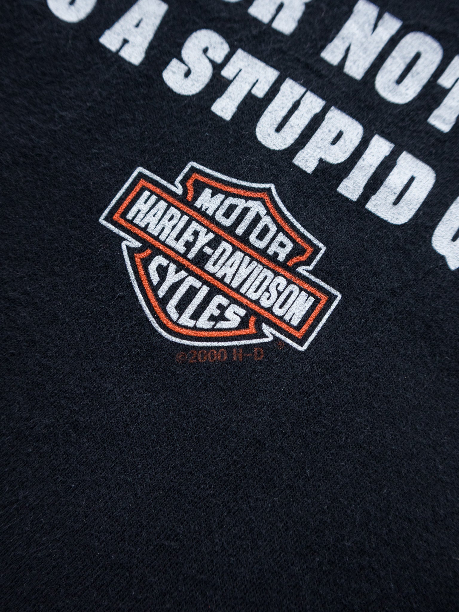 Vintage 2000 Black Harley-Davidson Roeder Ohio Tee (L)