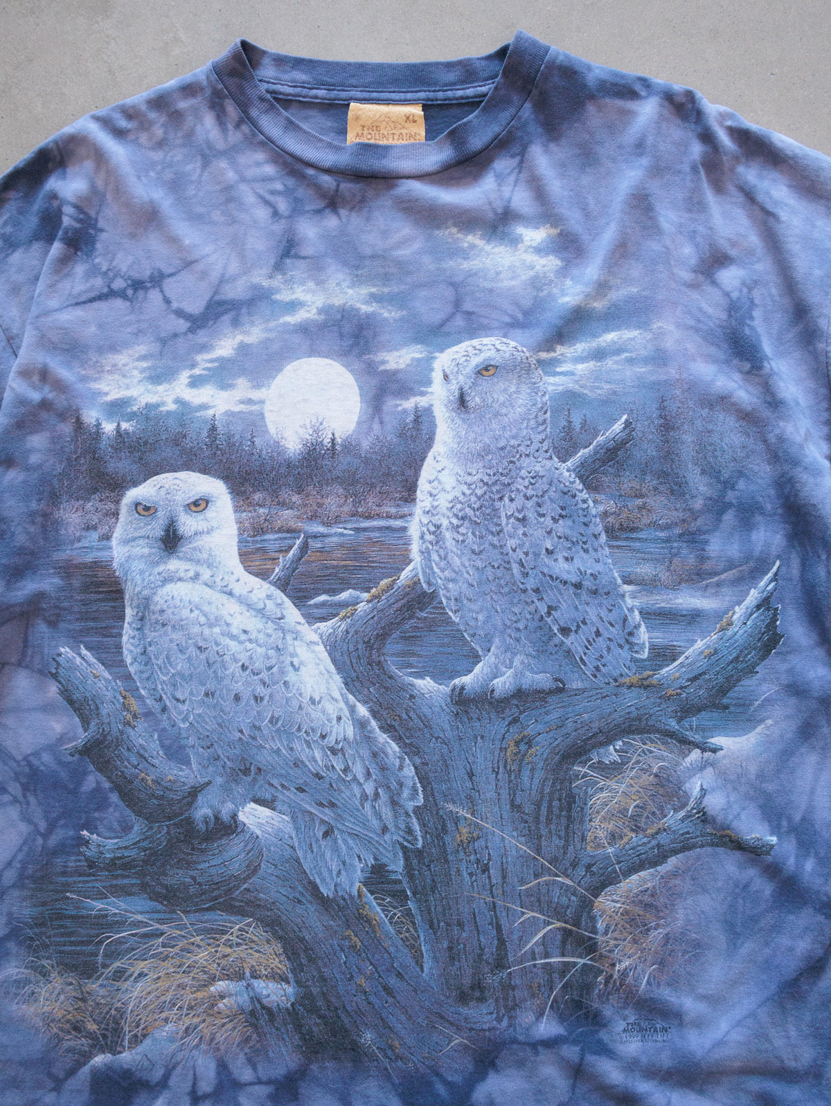 Vintage 90s Blue Tie-Dye The Mountain Snowy Owls Tee (XL)