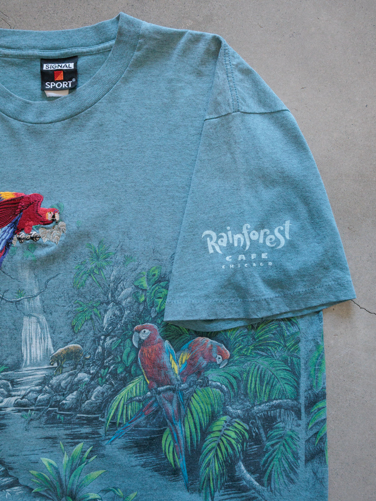 Vintage 90s Blue Rainforest Cafe Chicago Macaw Tee (-)