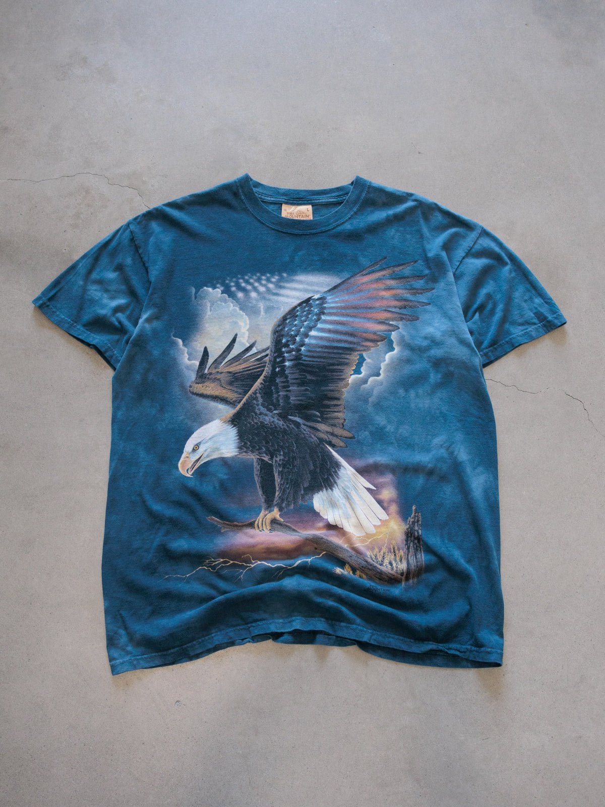 Vintage 2006 Blue The Mountain Bald Eagle Tee (L)