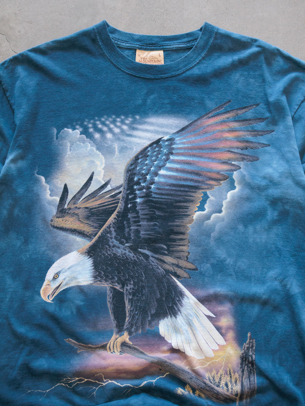 Vintage 2006 Blue The Mountain Bald Eagle Tee (L)