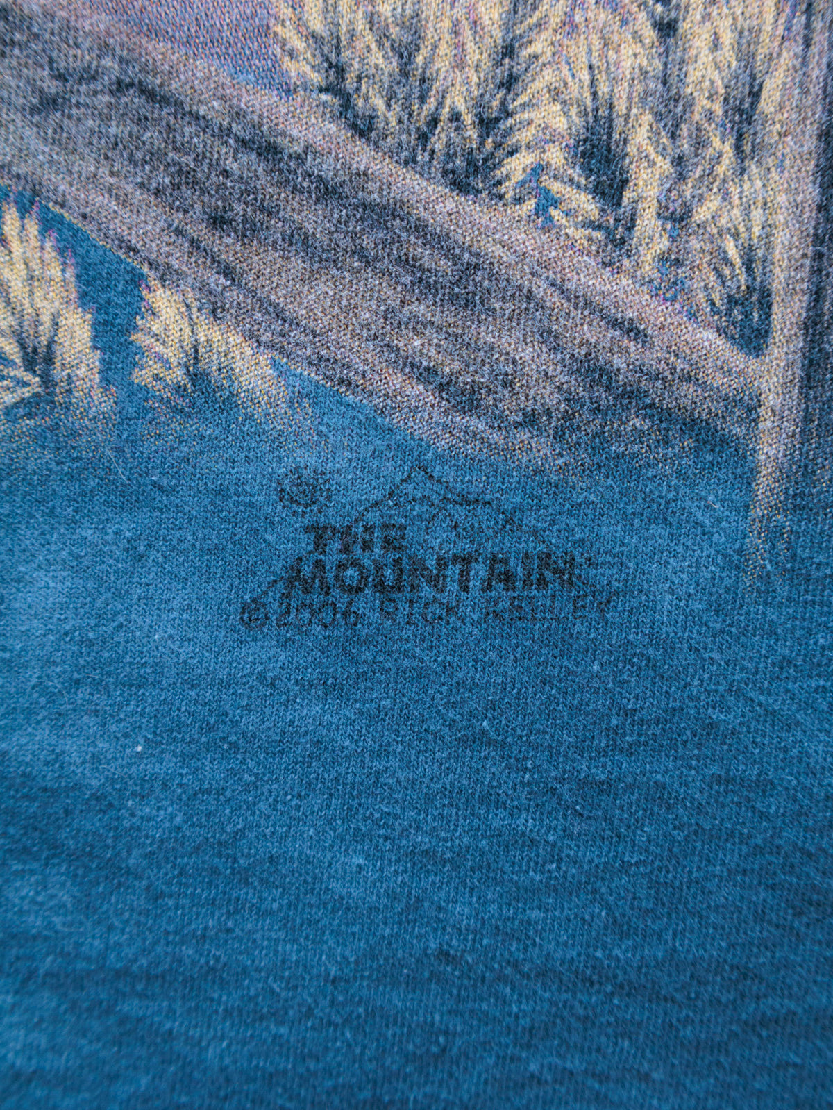 Vintage 2006 Blue The Mountain Bald Eagle Tee (L)