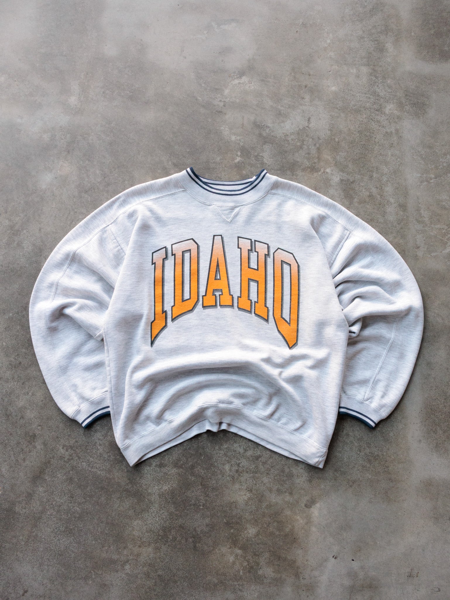 Vintage 90s Grey Idaho Sweatshirt (XL)