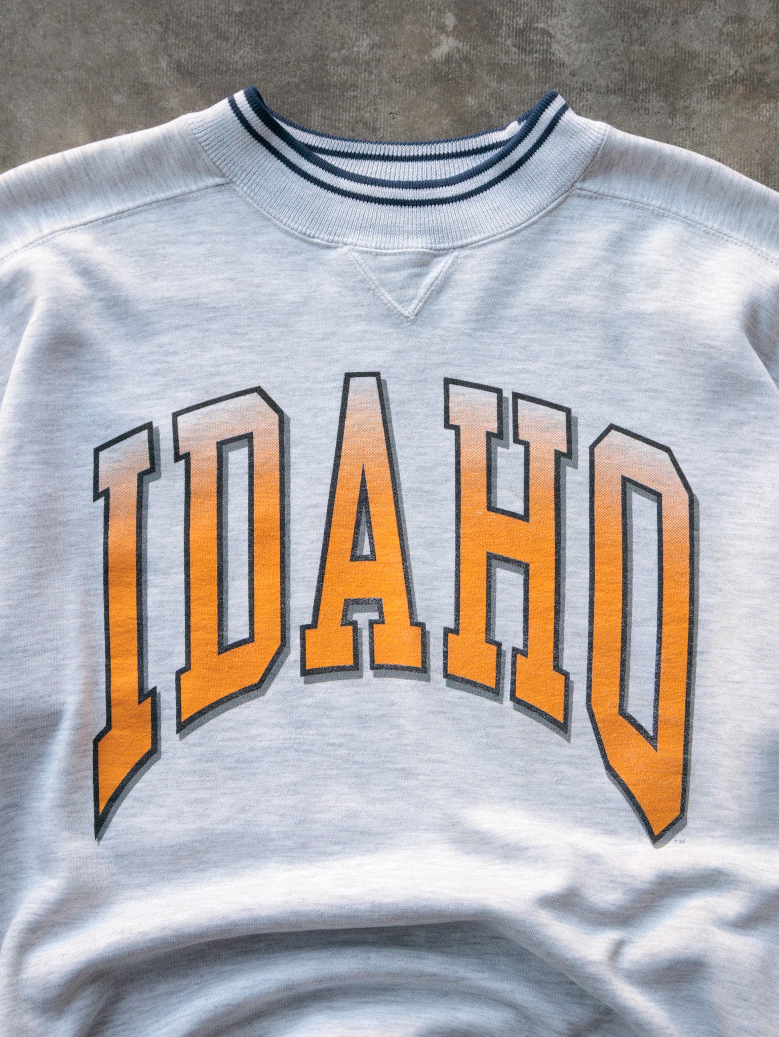 Vintage 90s Grey Idaho Sweatshirt (XL)