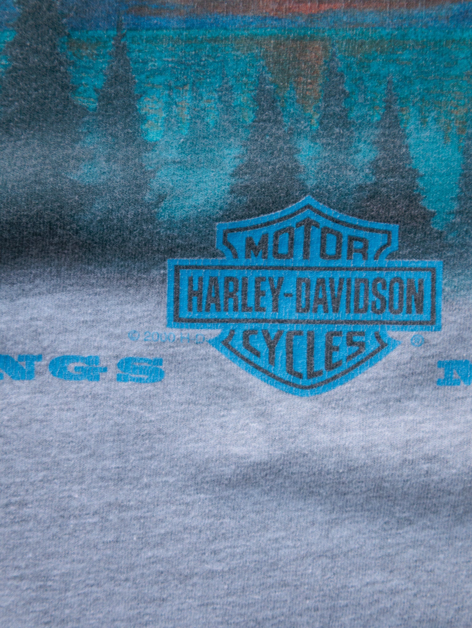 Vintage 2000 Grey Harley-Davidson Billings Montana Long Sleeve (XL)