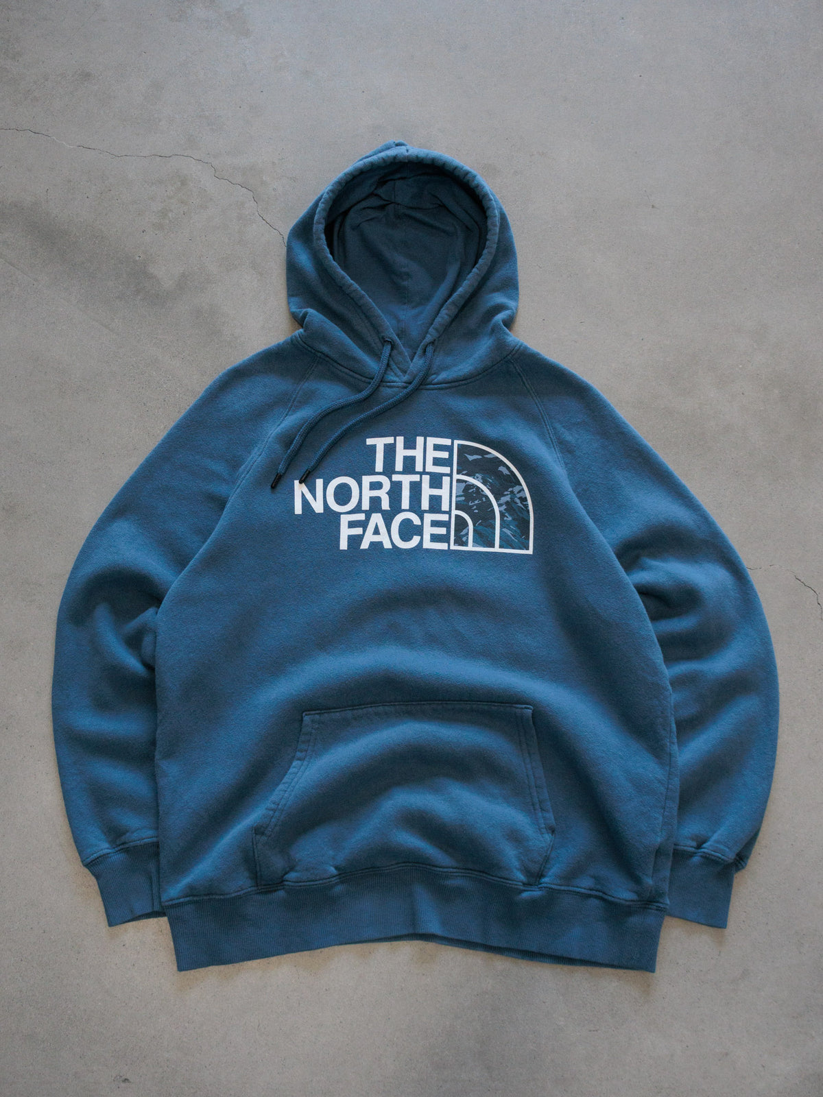 Vintage Blue The North Face Hoodie (Women's L)