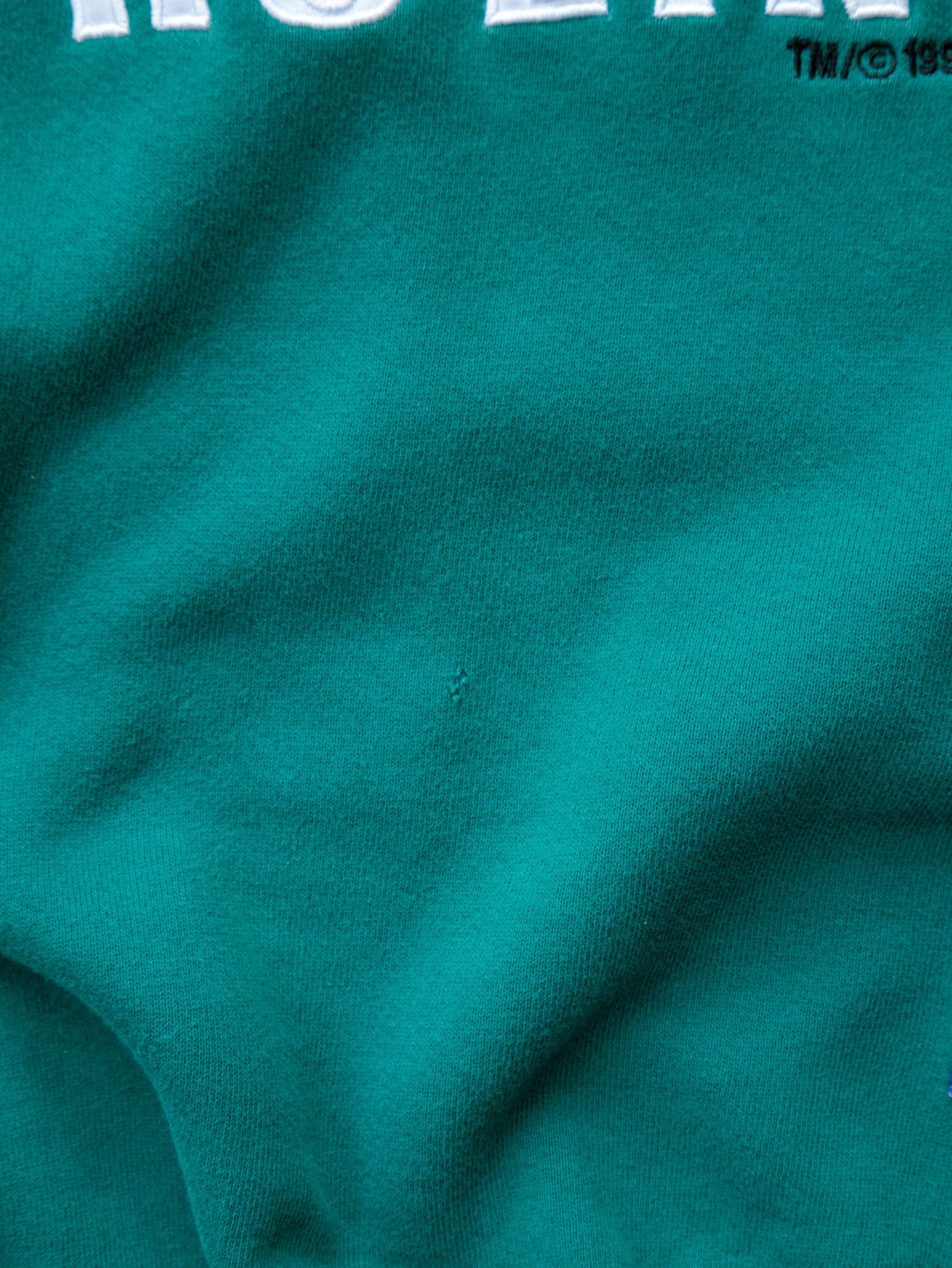Vintage 90s Green Philadelphia Eagles Champion Sweatshirt (L)