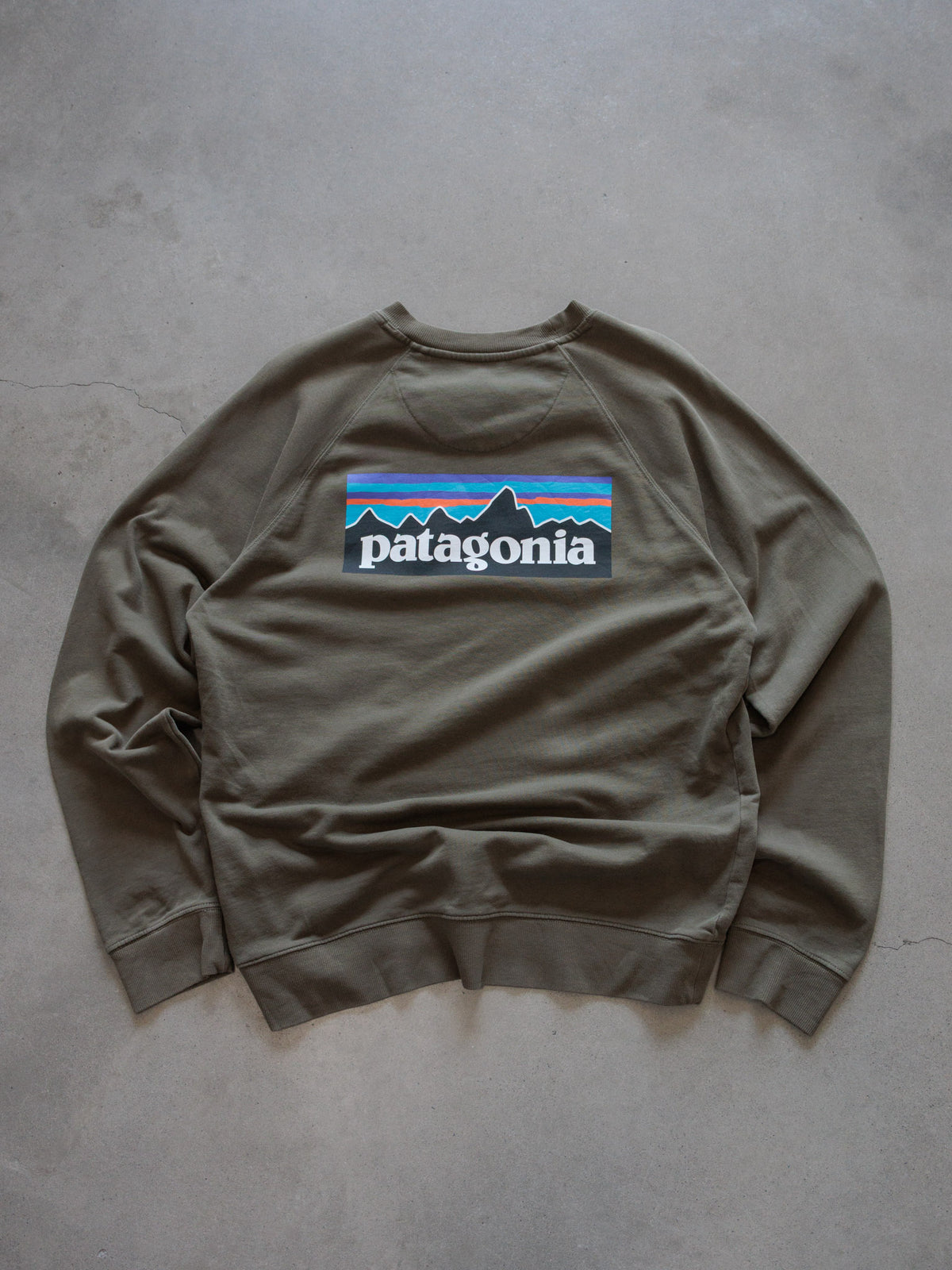 Vintage Green Patagonia Sweatshirt (M)
