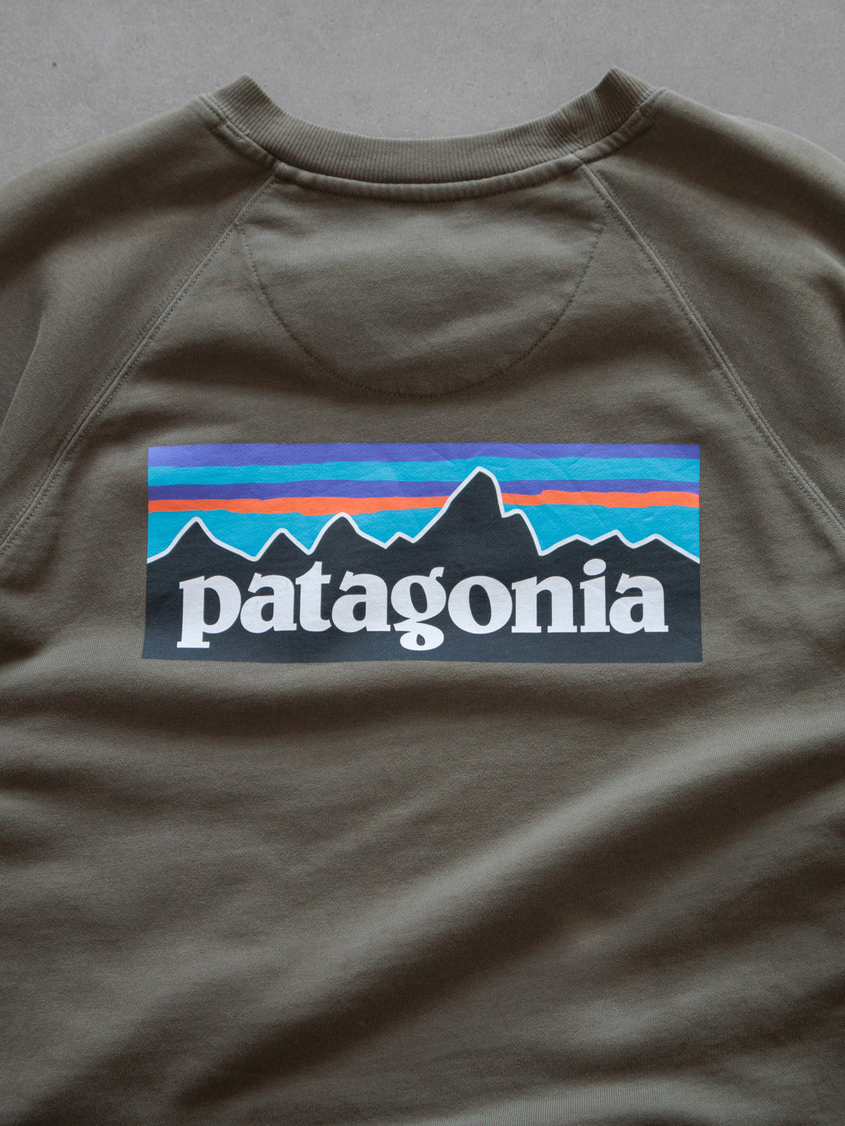 Vintage Green Patagonia Sweatshirt (M)