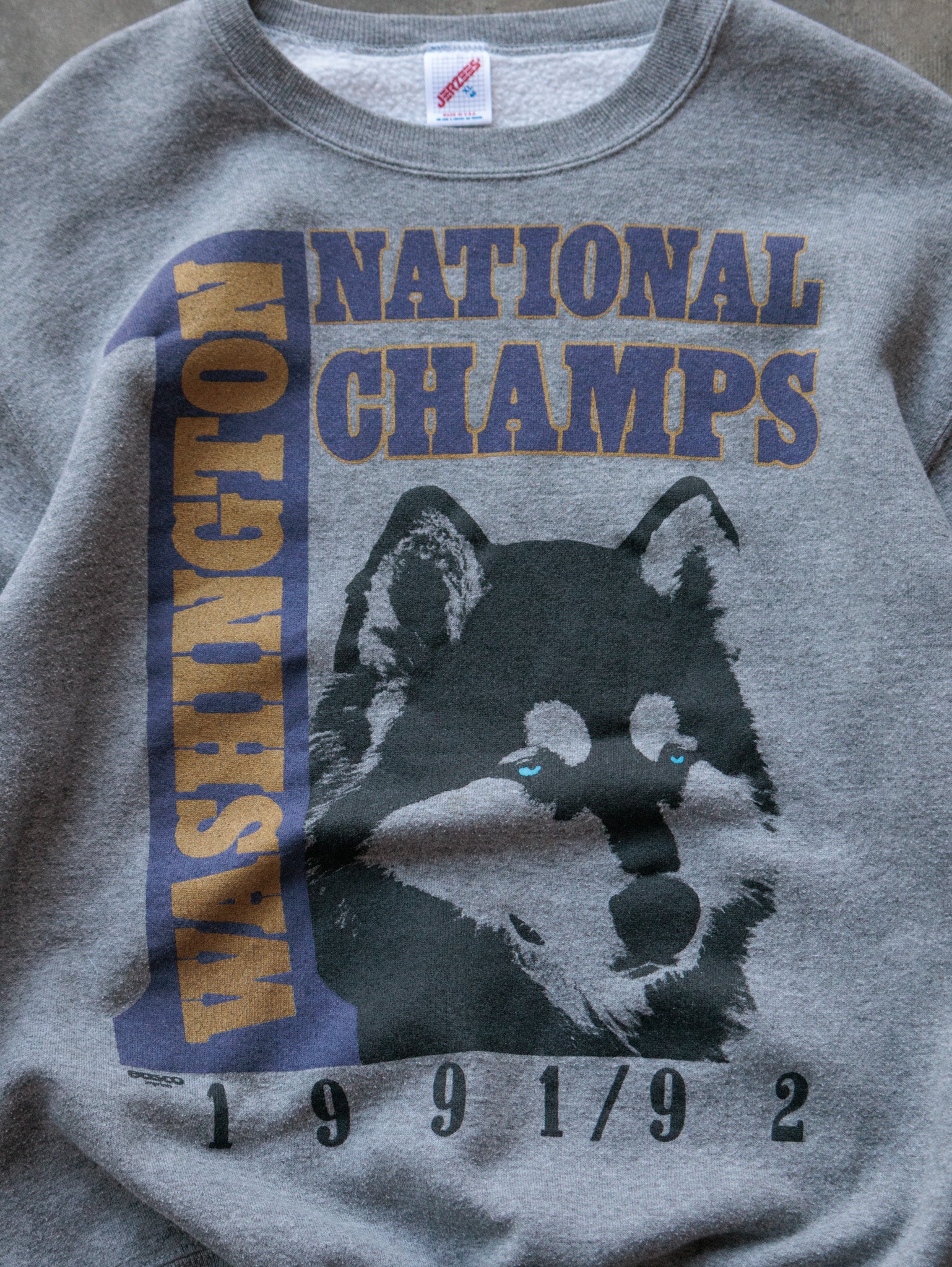Vintage 1992 Washington National Champs Sweatshirt (XL)