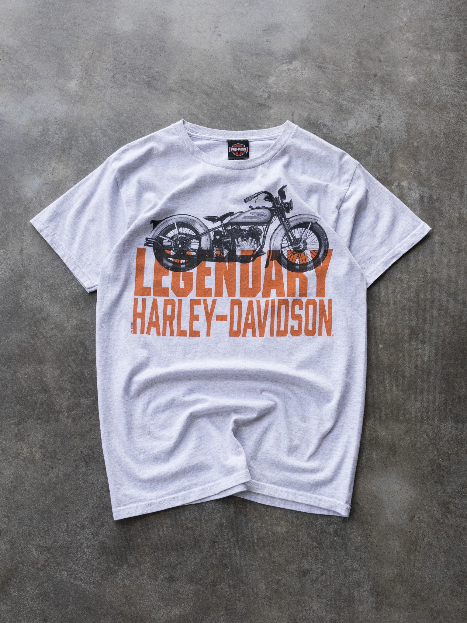 Grey Harley-Davidson Graphic Tee (S)