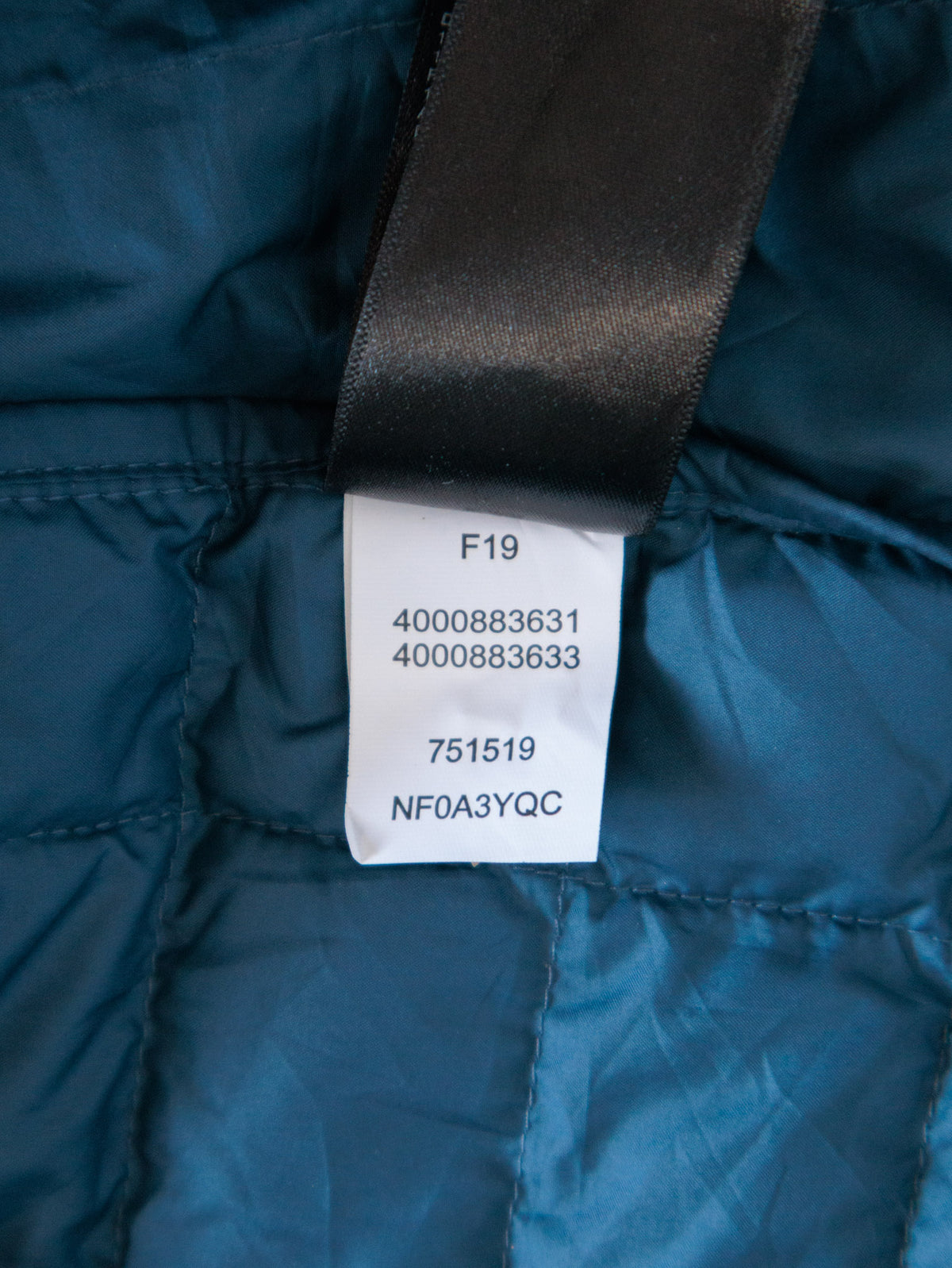 Blue The North Face Puffer Jacket (2XL)