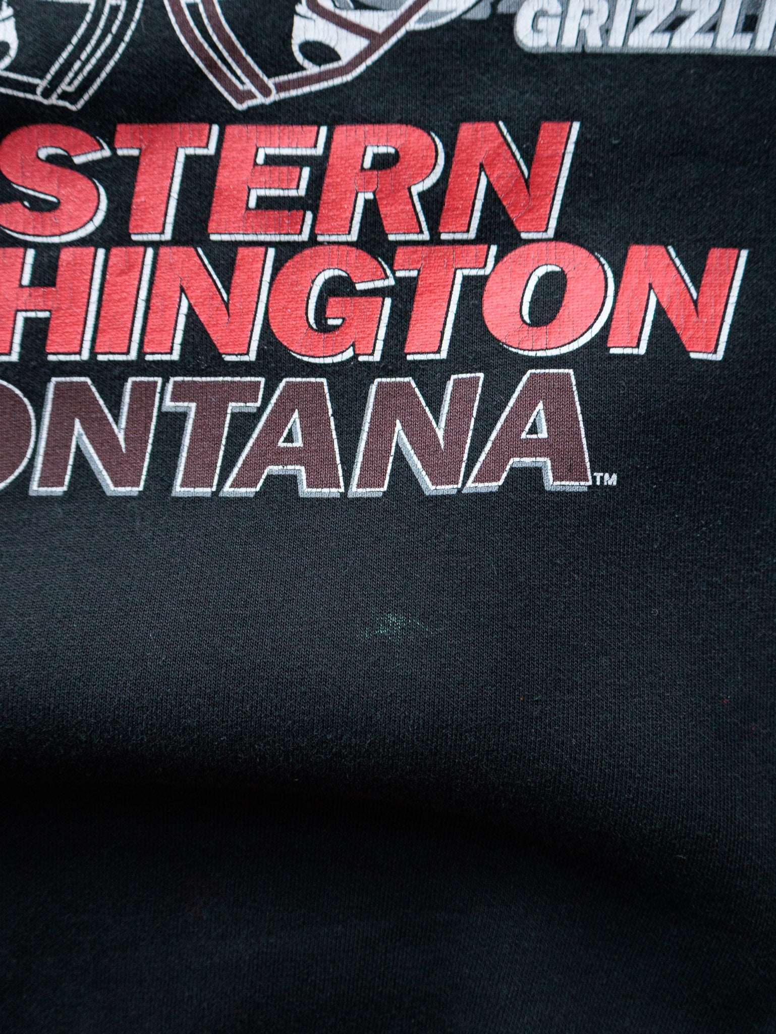 Vintage Black Eastern Washington Eagles & Montana Grizzlies Sweatshirt (L)