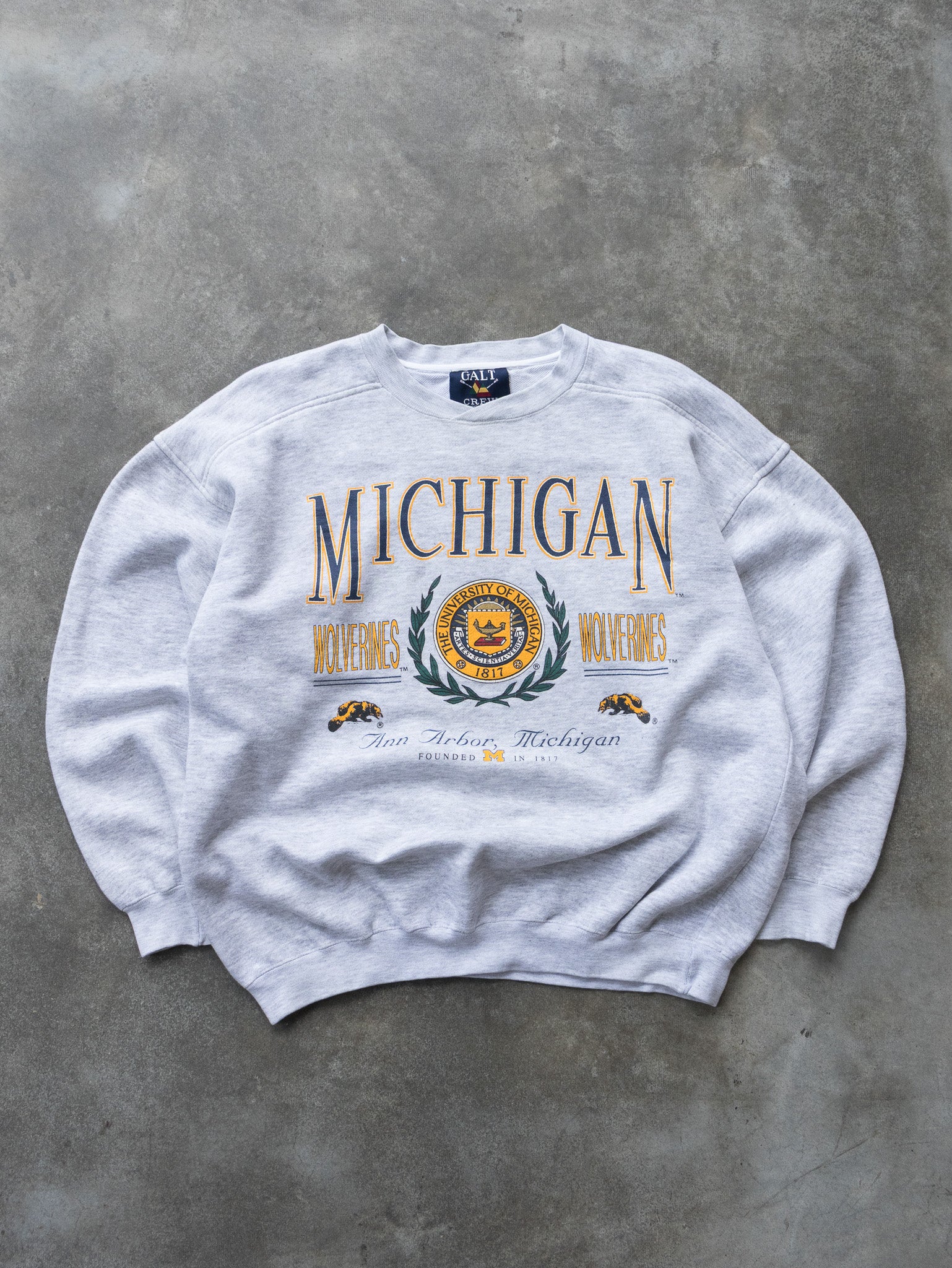 Vintage Grey Michigan Wolverines Sweatshirt (L)